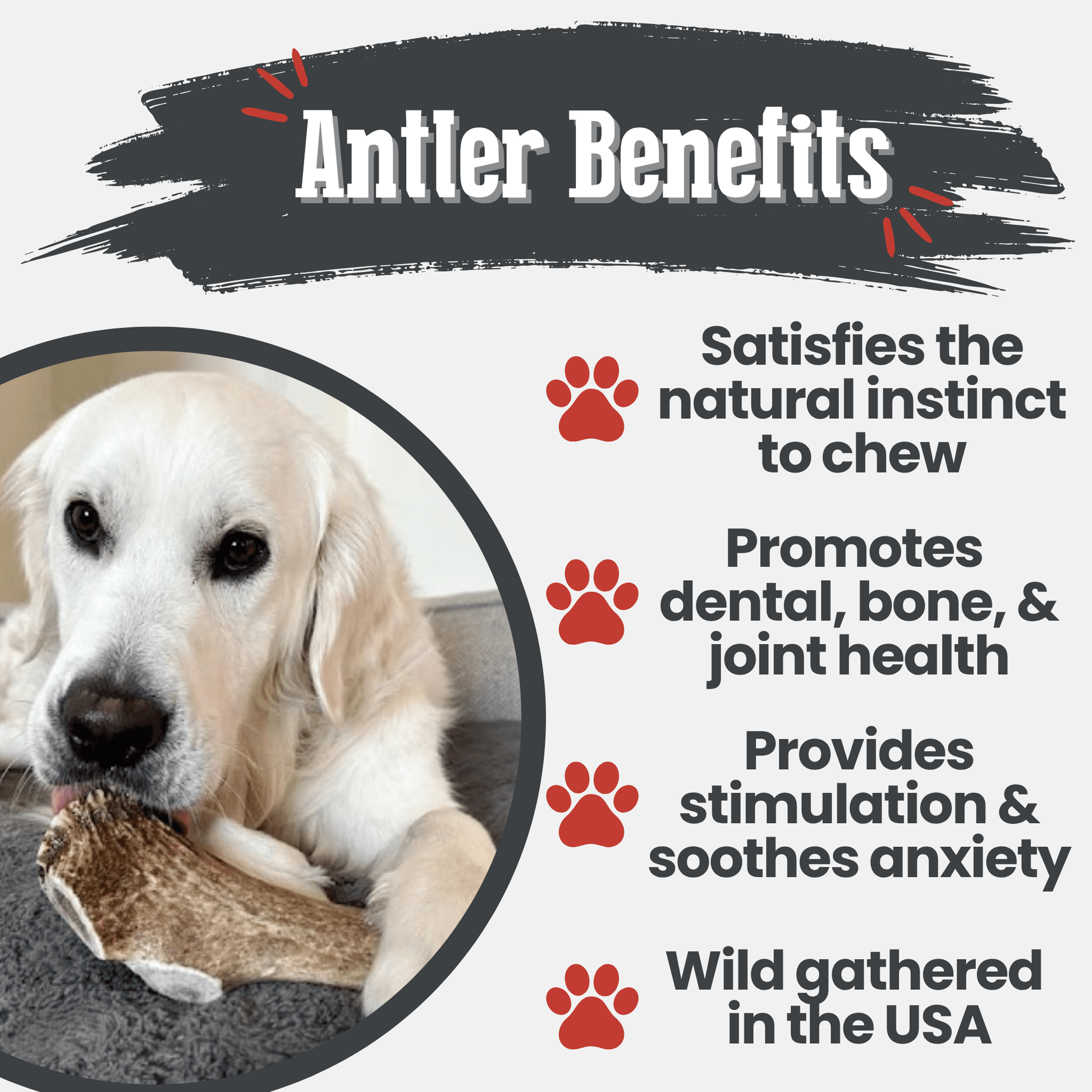 Elk Antler Dog Chews | All - Natural Whole and Split Elk Antler Chews for Dogs - Boske.store
