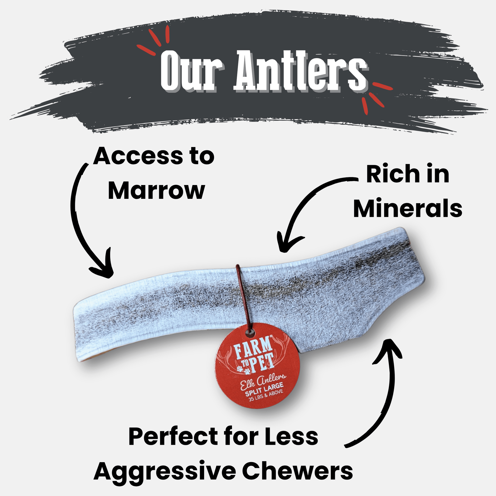Elk Antler Dog Chews | All - Natural Whole and Split Elk Antler Chews for Dogs - Boske.store