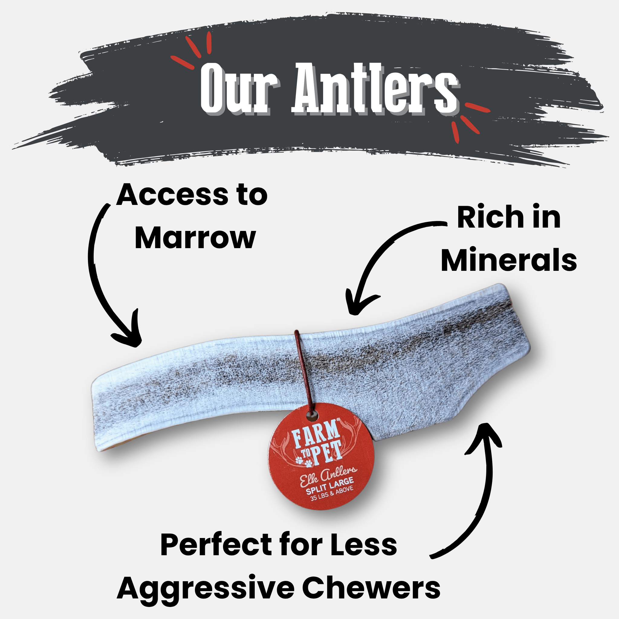 Elk Antler Dog Chews | All - Natural Whole and Split Elk Antler Chews for Dogs - Boske.store