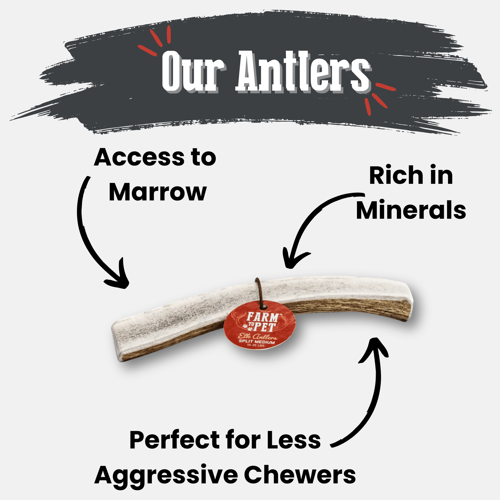 Elk Antler Dog Chews | All - Natural Whole and Split Elk Antler Chews for Dogs - Boske.store