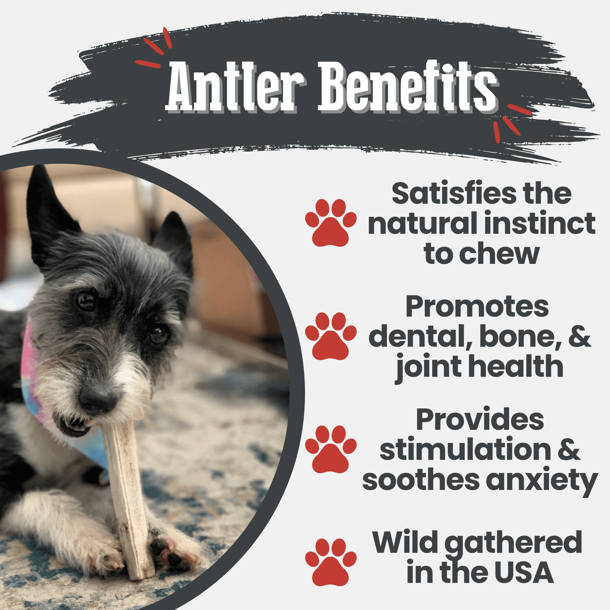 Elk Antler Dog Chews | All - Natural Whole and Split Elk Antler Chews for Dogs - Boske.store