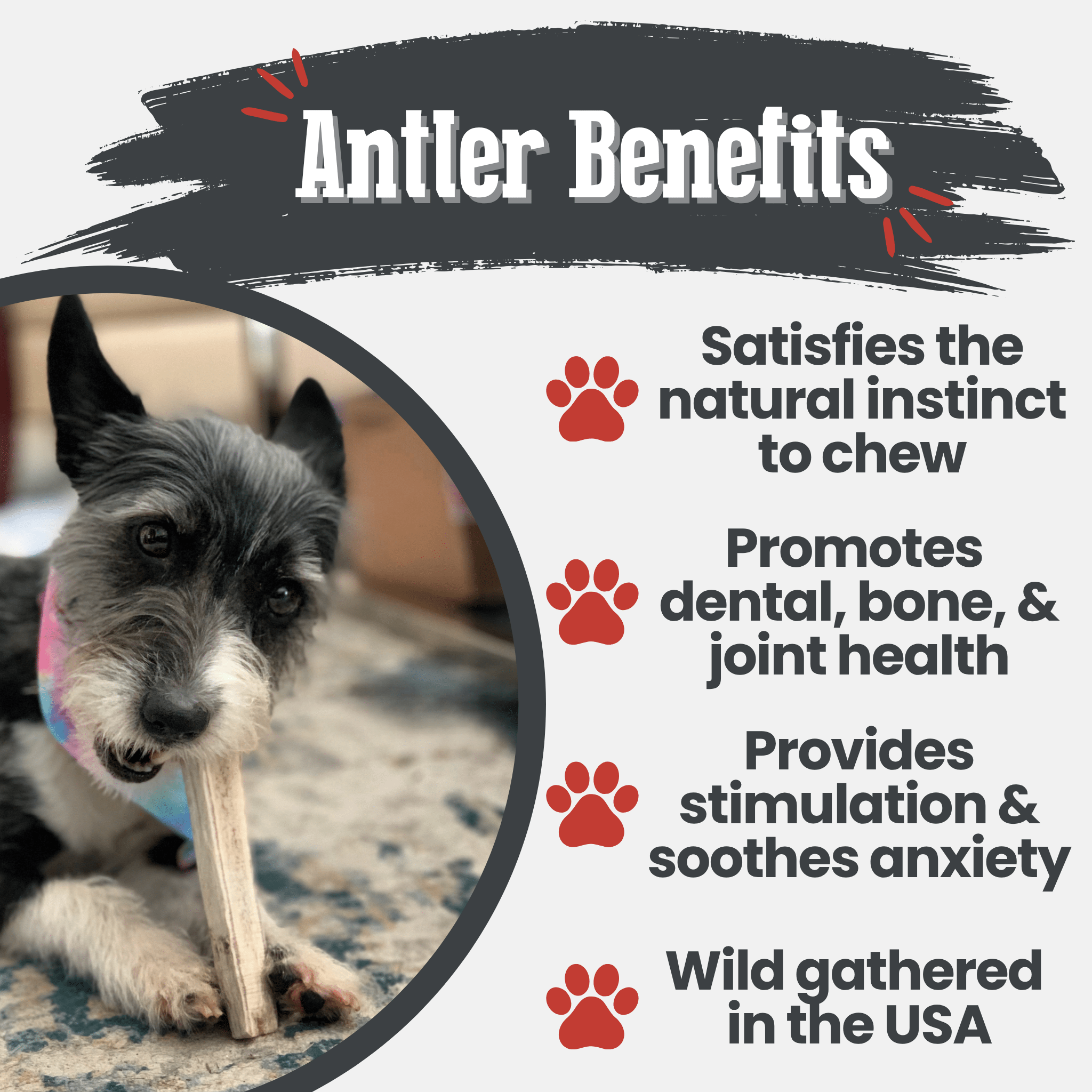 Elk Antler Dog Chews | All - Natural Whole and Split Elk Antler Chews for Dogs - Boske.store