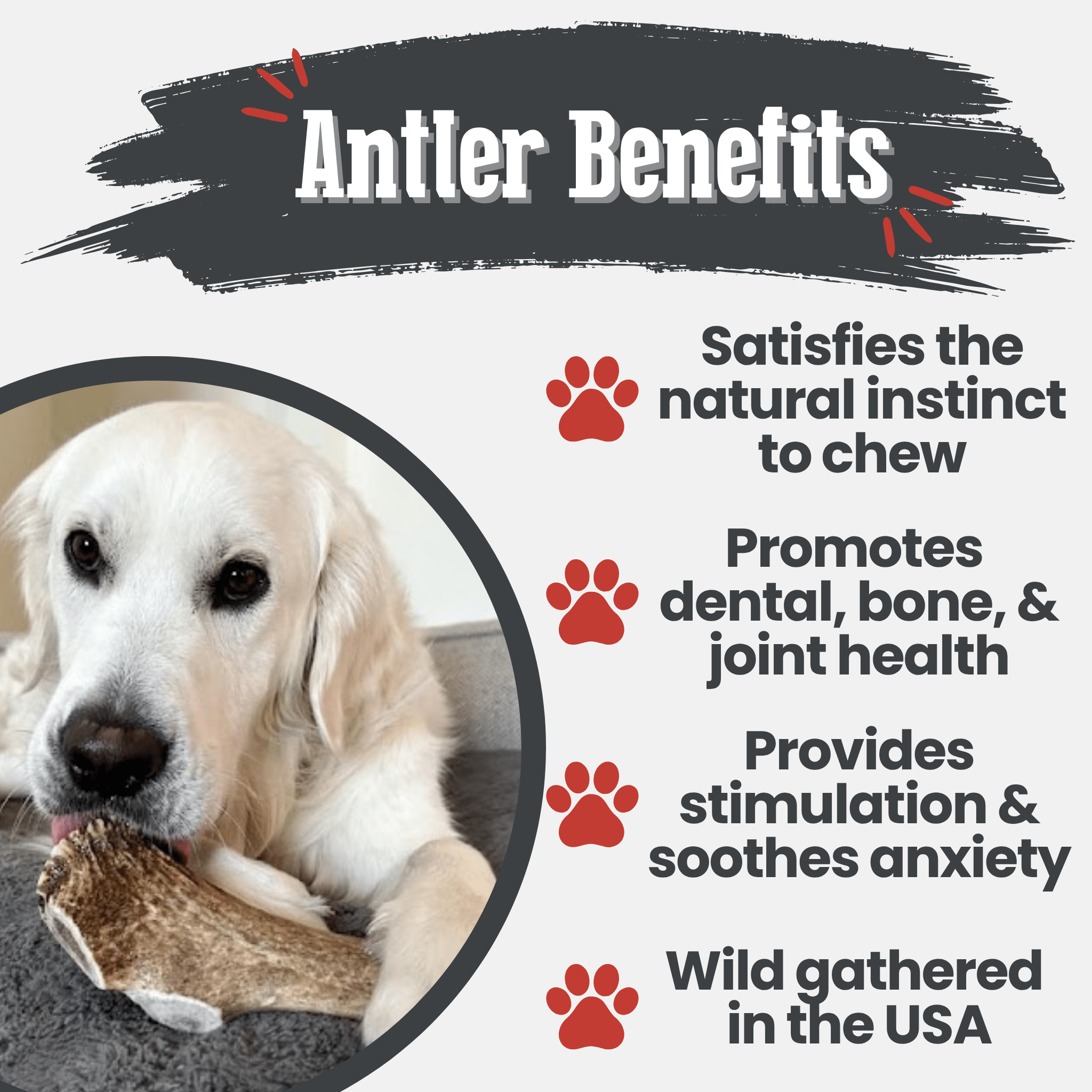 Elk Antler Dog Chews | All - Natural Whole and Split Elk Antler Chews for Dogs - Boske.store