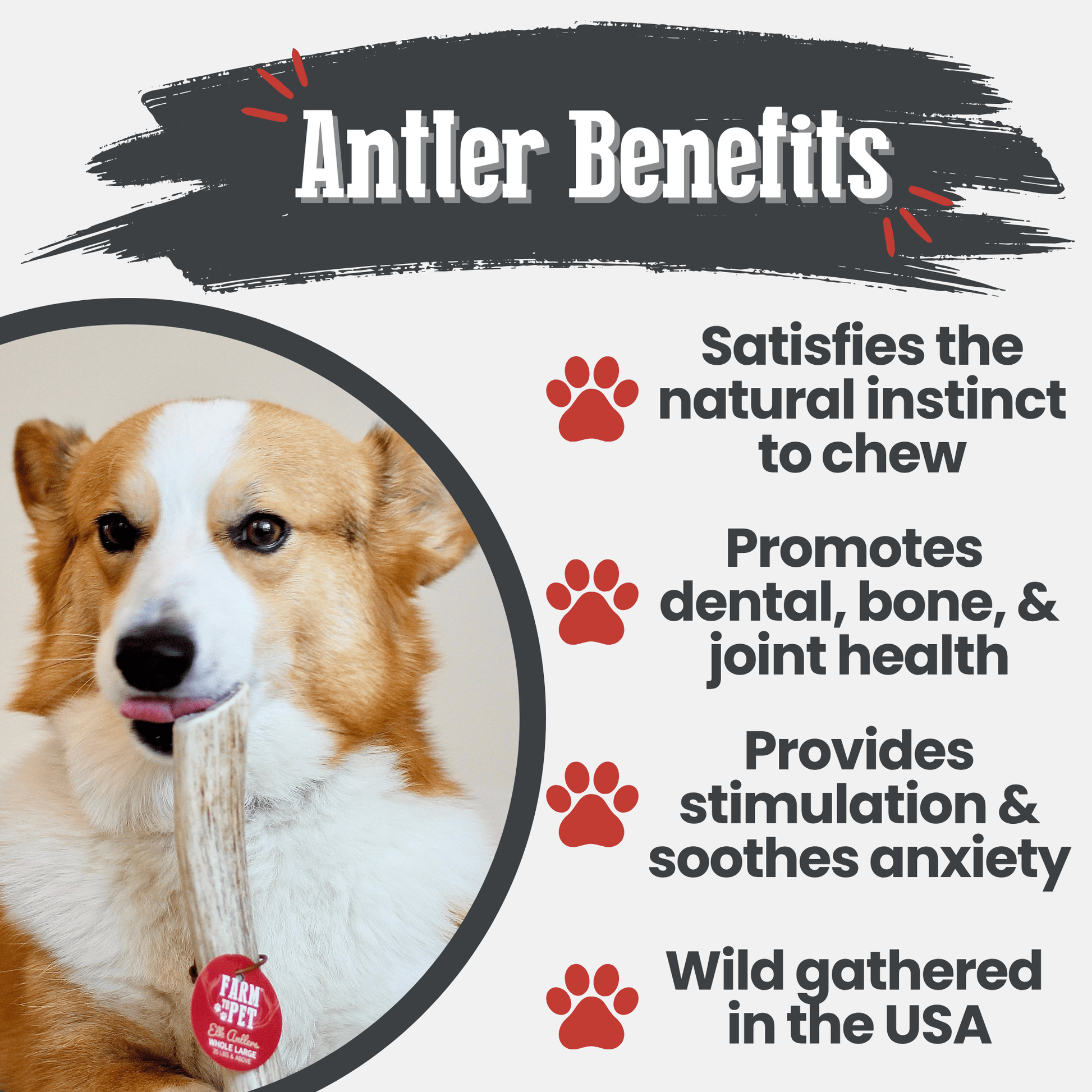 Elk Antler Dog Chews | All - Natural Whole and Split Elk Antler Chews for Dogs - Boske.store