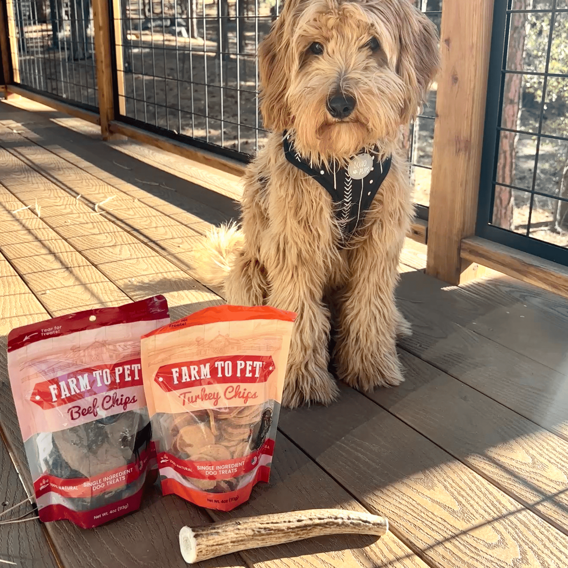 Reindeer Antler Dog Chews | Organic Chews for Dogs - Boske.store
