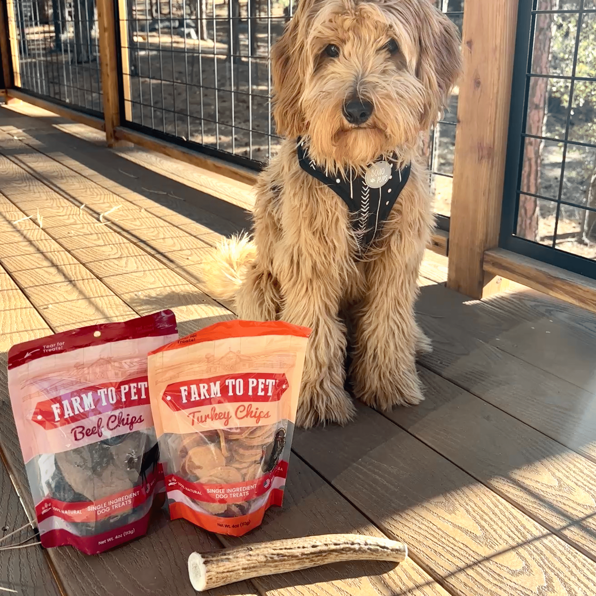 Reindeer Antler Dog Chews | Organic Chews for Dogs - Boske.store