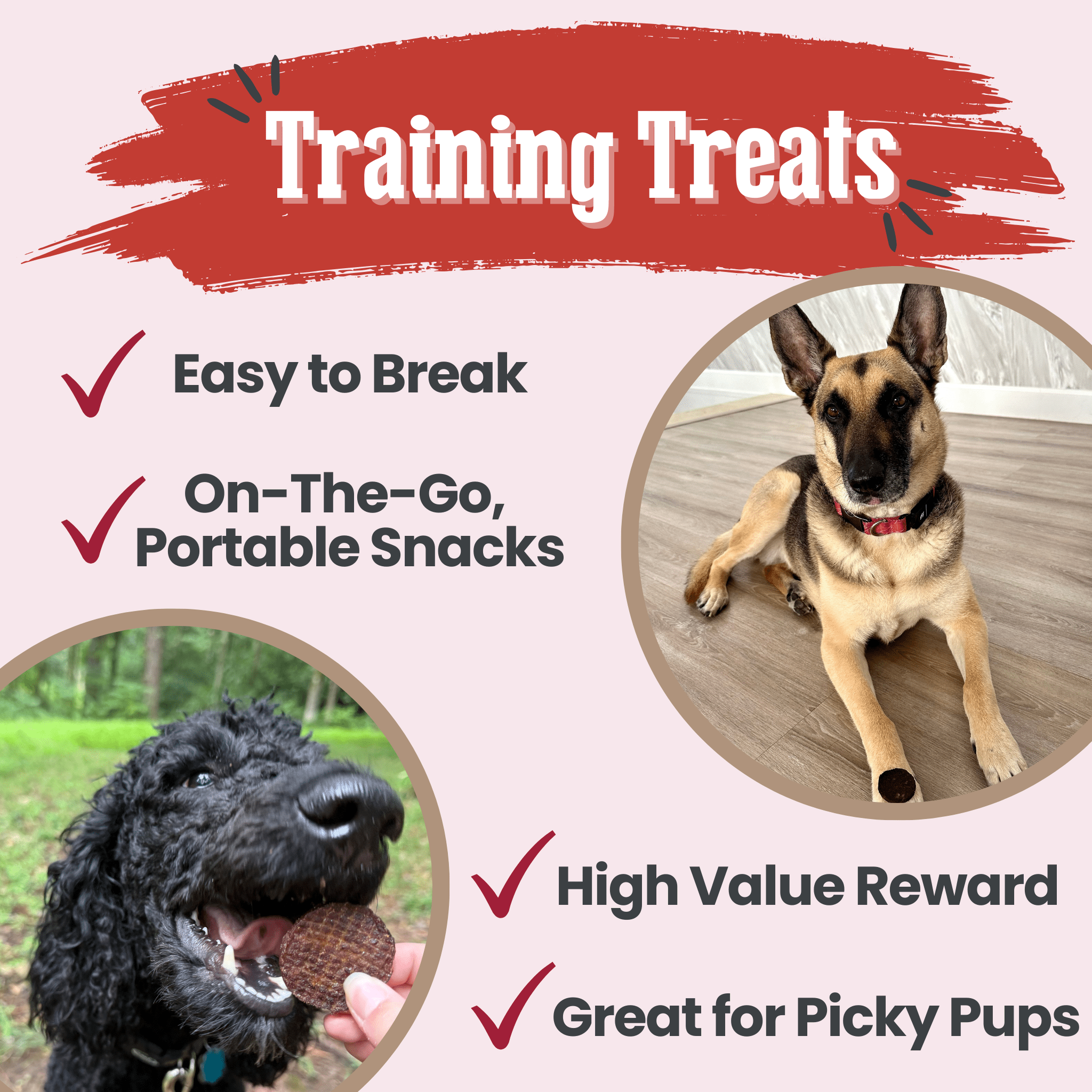 Beef Chips Dog Treats | Single - Ingredient Healthy Treats for Dogs - Boske.store