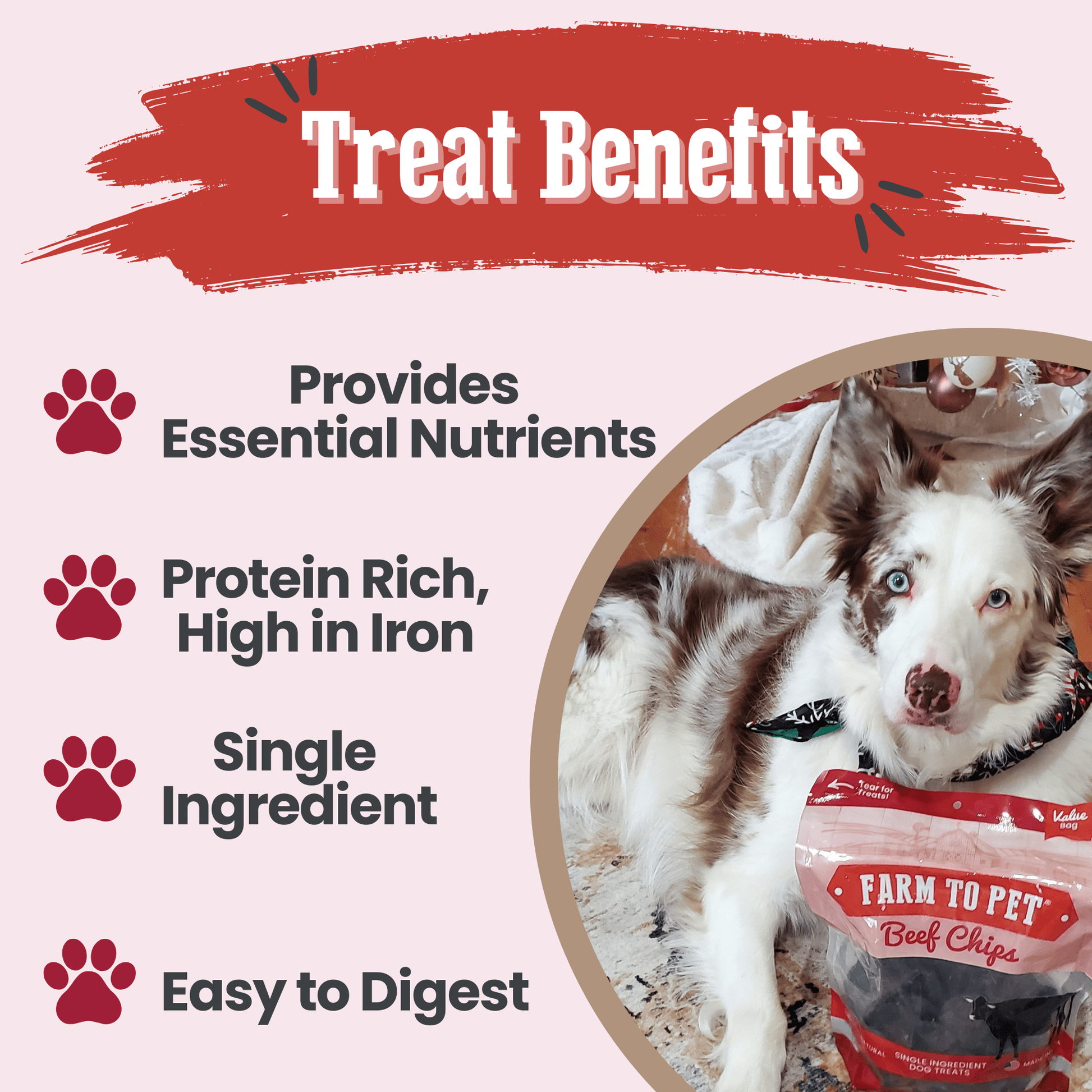 Beef Chips Dog Treats | Single - Ingredient Healthy Treats for Dogs - Boske.store
