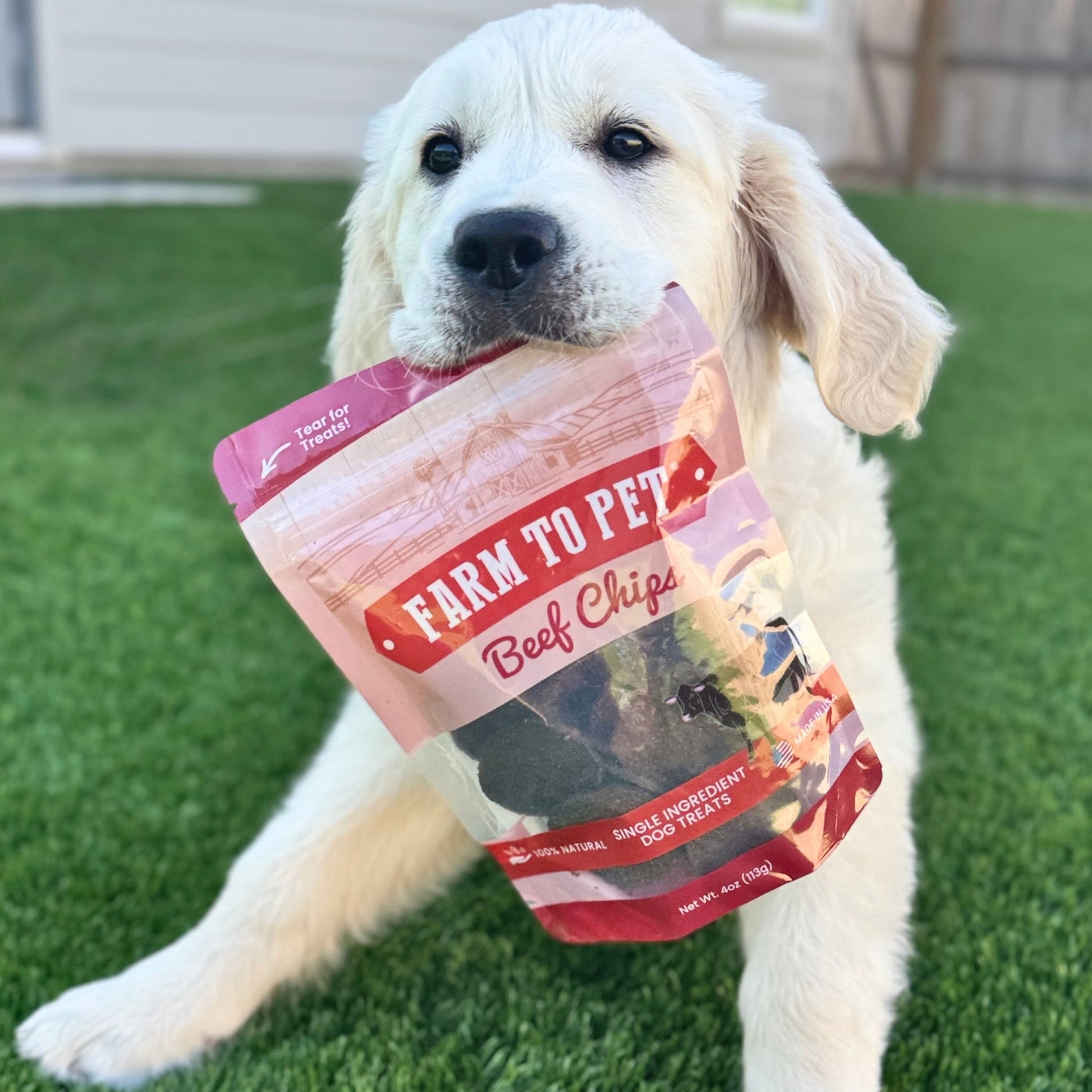 Beef Chips Dog Treats | Single - Ingredient Healthy Treats for Dogs - Boske.store