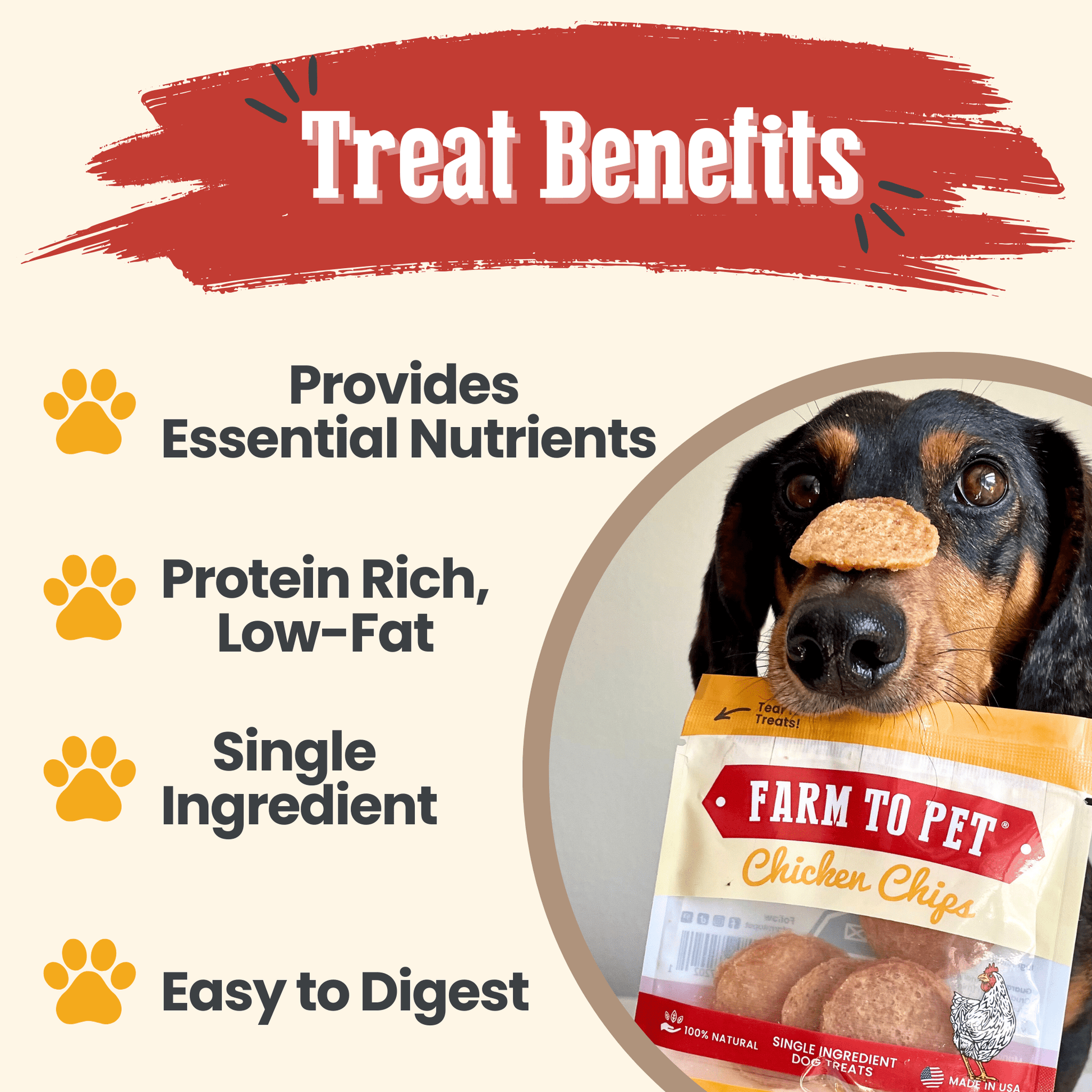 Chicken Chips Snack Pack Bundles | Dog Party Favors & Training Treats - Boske.store