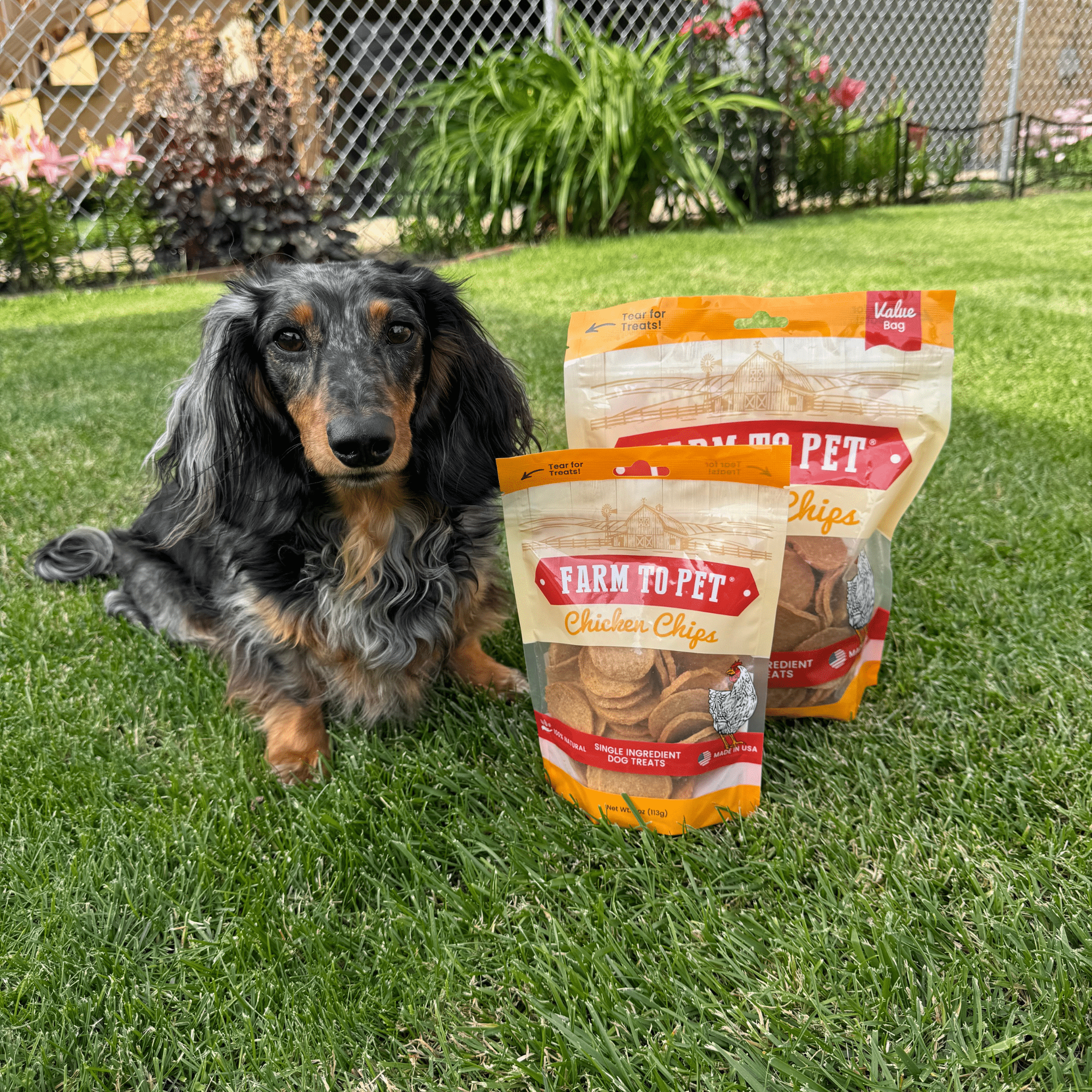 Chicken Chips for Dogs | All - Natural Single - Ingredient Dog Treats - Boske.store