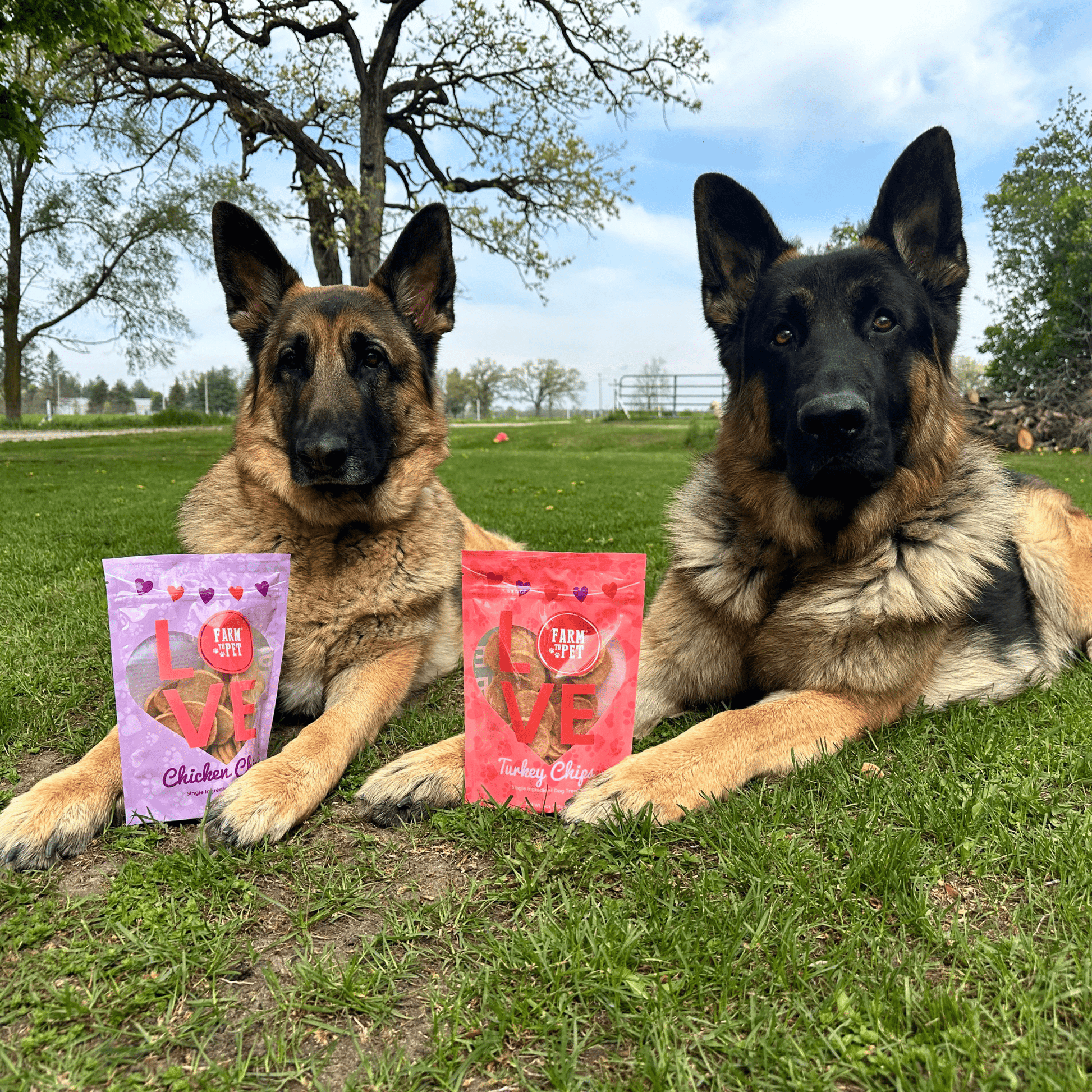 Puppy Love Dog Treat Duo | Poultry Chip Variety Pack - Boske.store