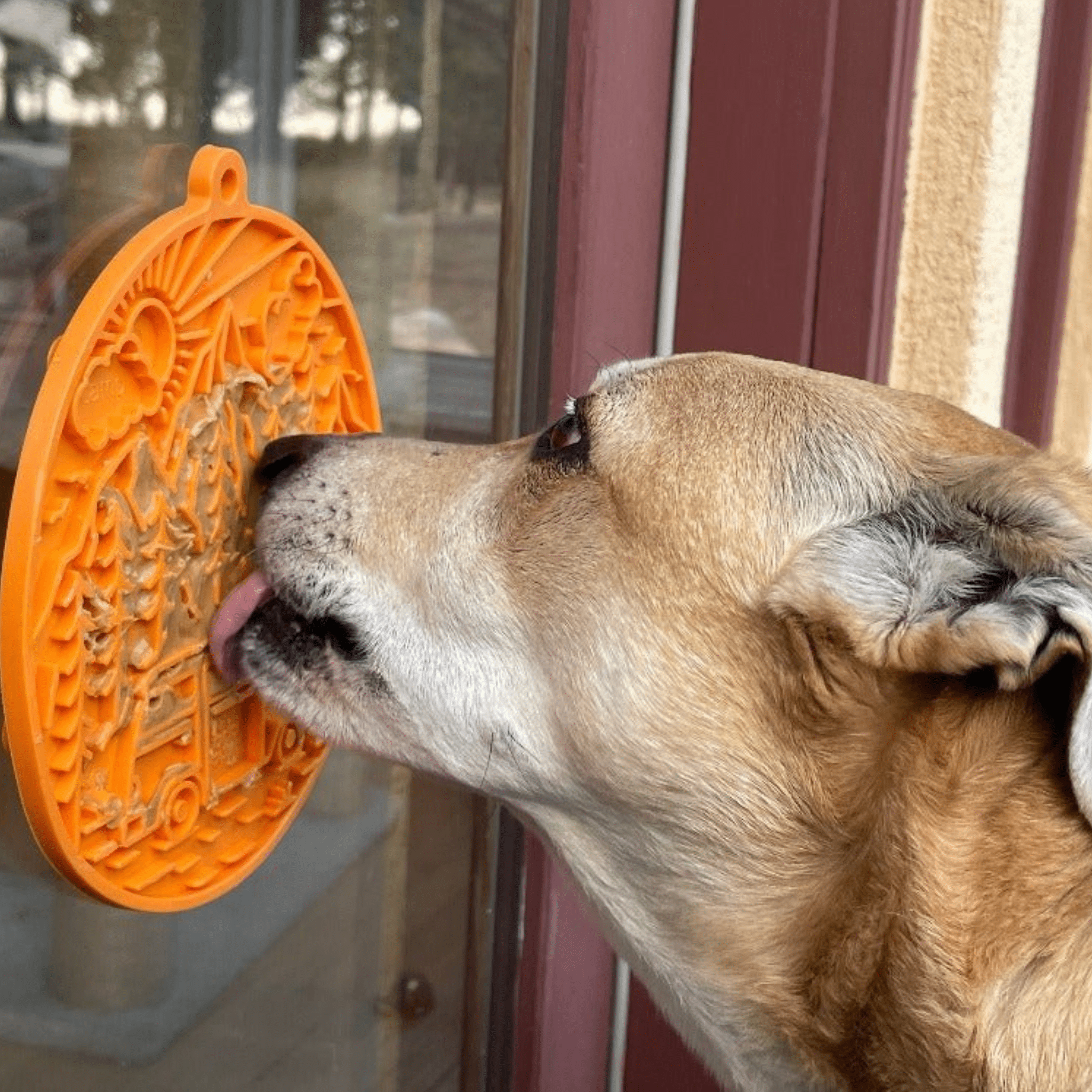 Dog Lick Mats with Suction Cups - Boske.store