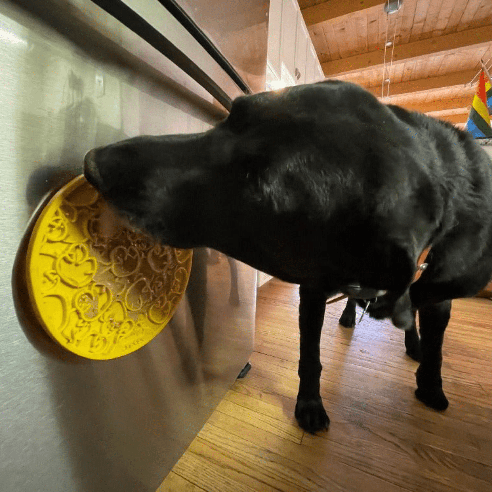 Dog Lick Mats with Suction Cups - Boske.store