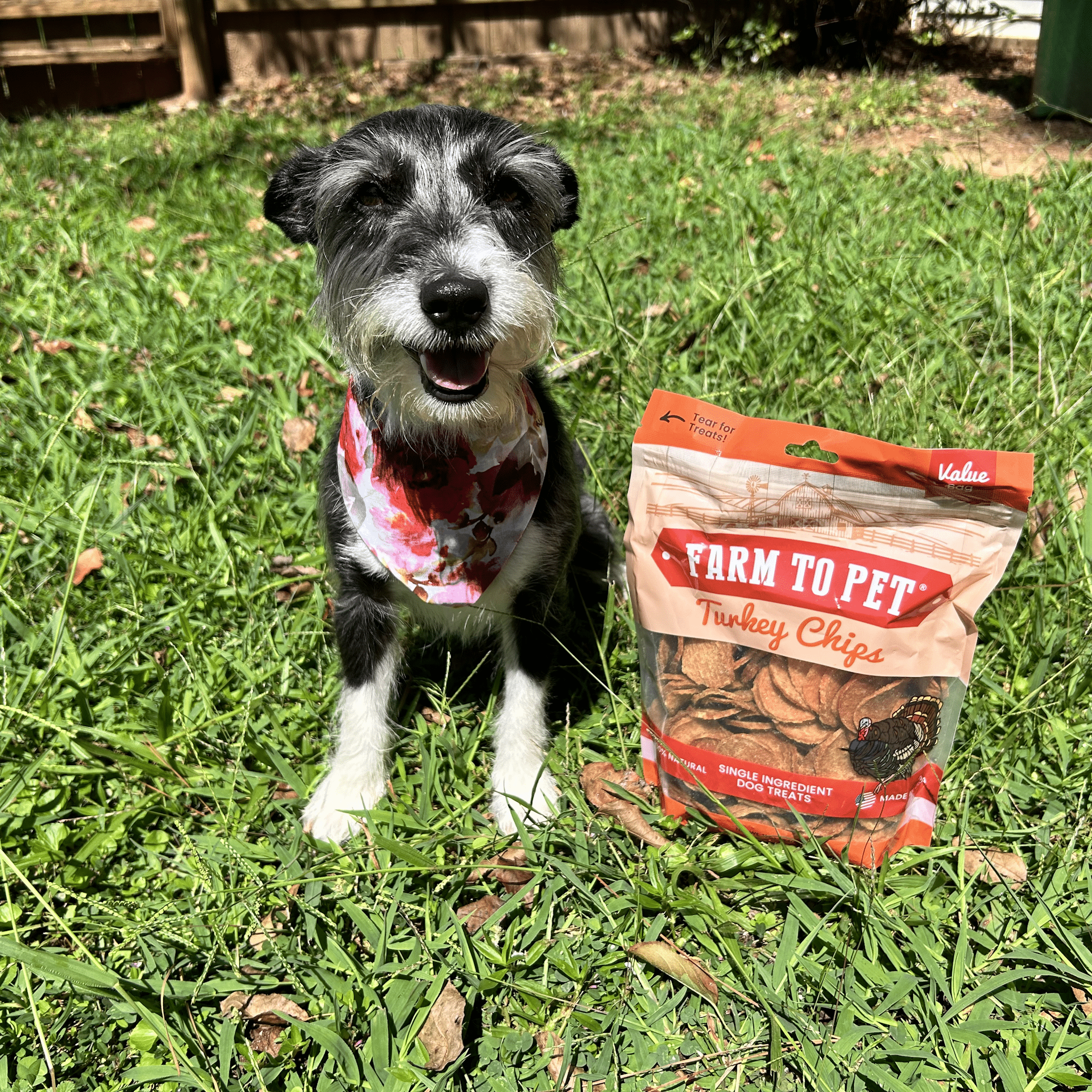 Turkey Chips for Dogs | All - Natural Single - Ingredient Healthy Dog Treats - Boske.store
