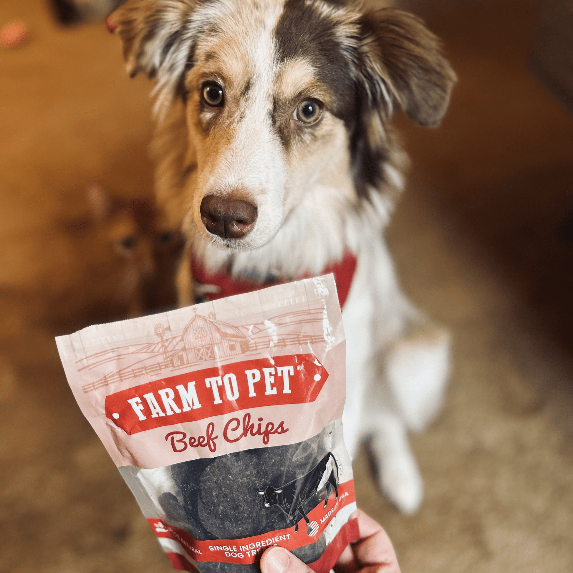 Puppy Packs 'n Snacks Dog Treat Starter Pack | Single - Ingredient Training Treats - Boske.store