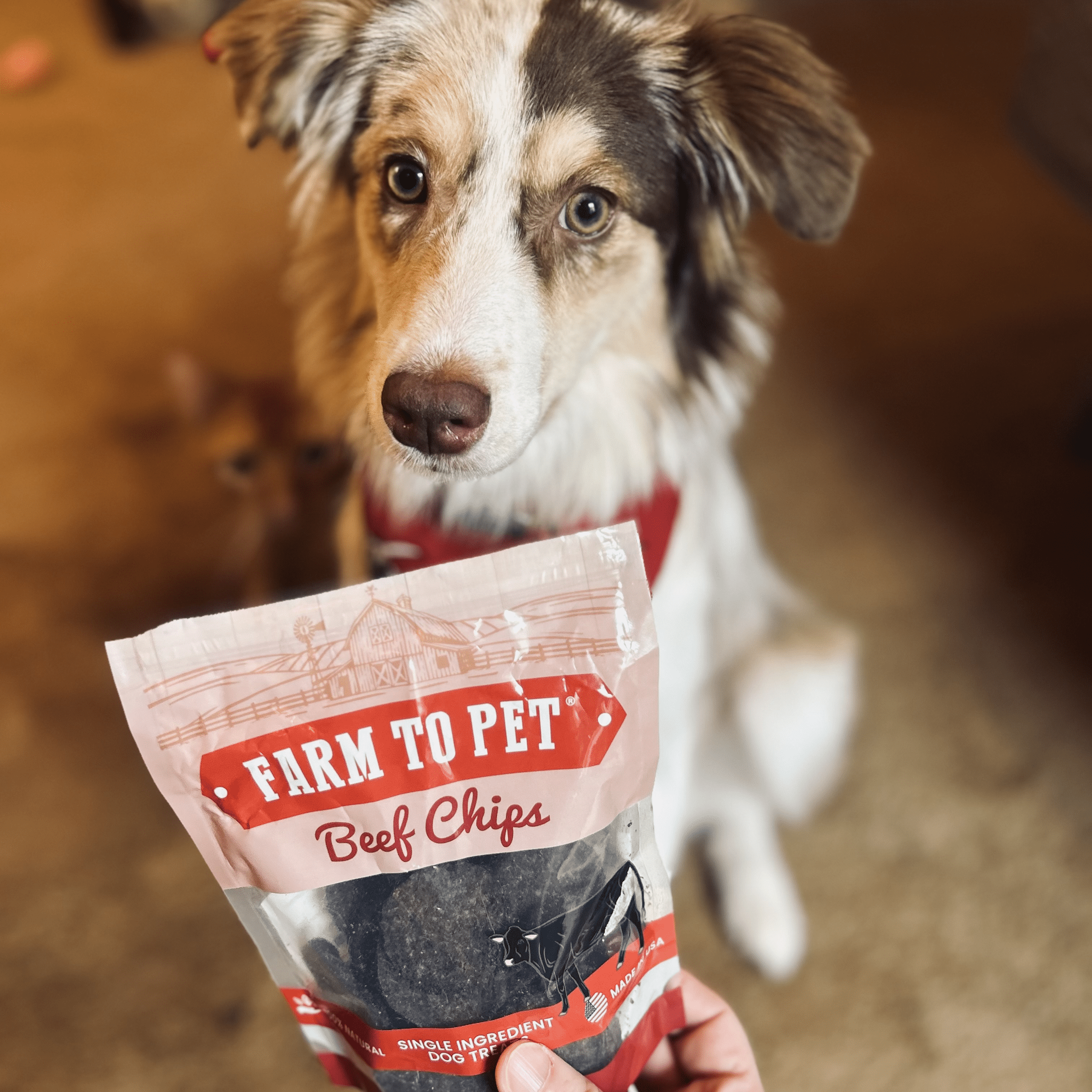 Puppy Packs 'n Snacks Dog Treat Starter Pack | Single - Ingredient Training Treats - Boske.store