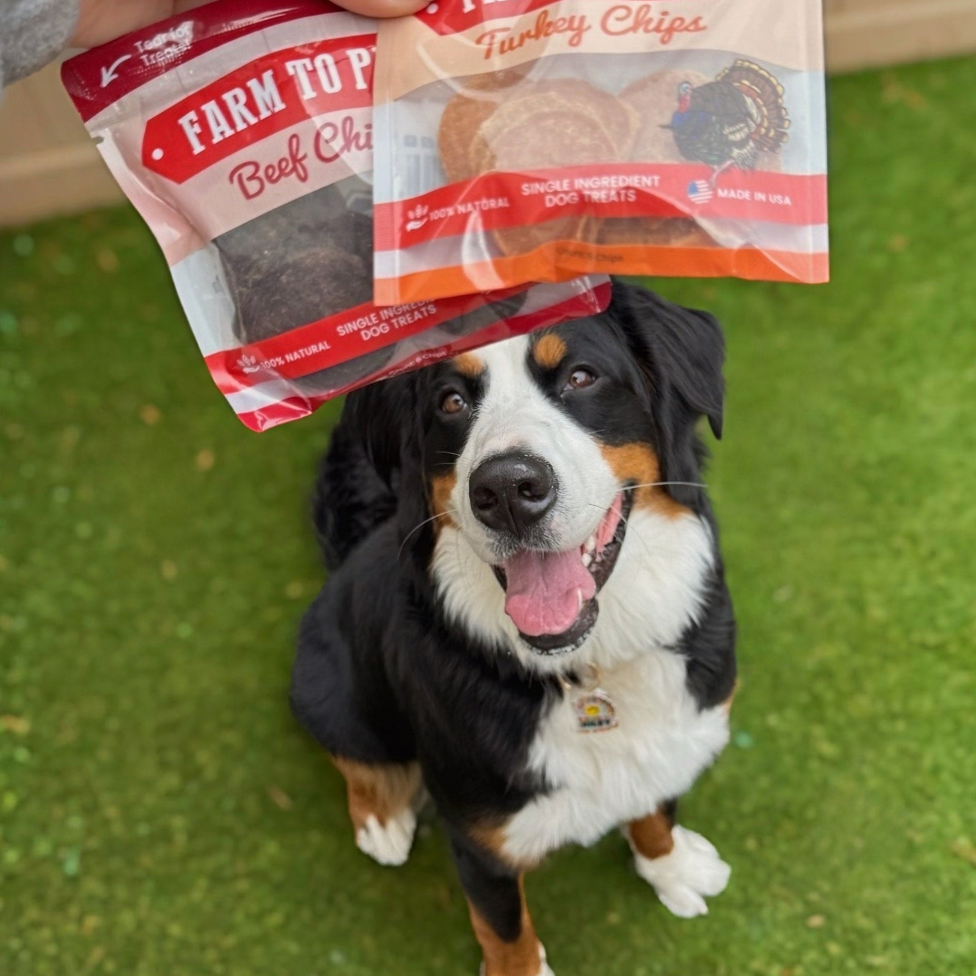 Puppy Packs 'n Snacks Dog Treat Starter Pack | Single - Ingredient Training Treats - Boske.store