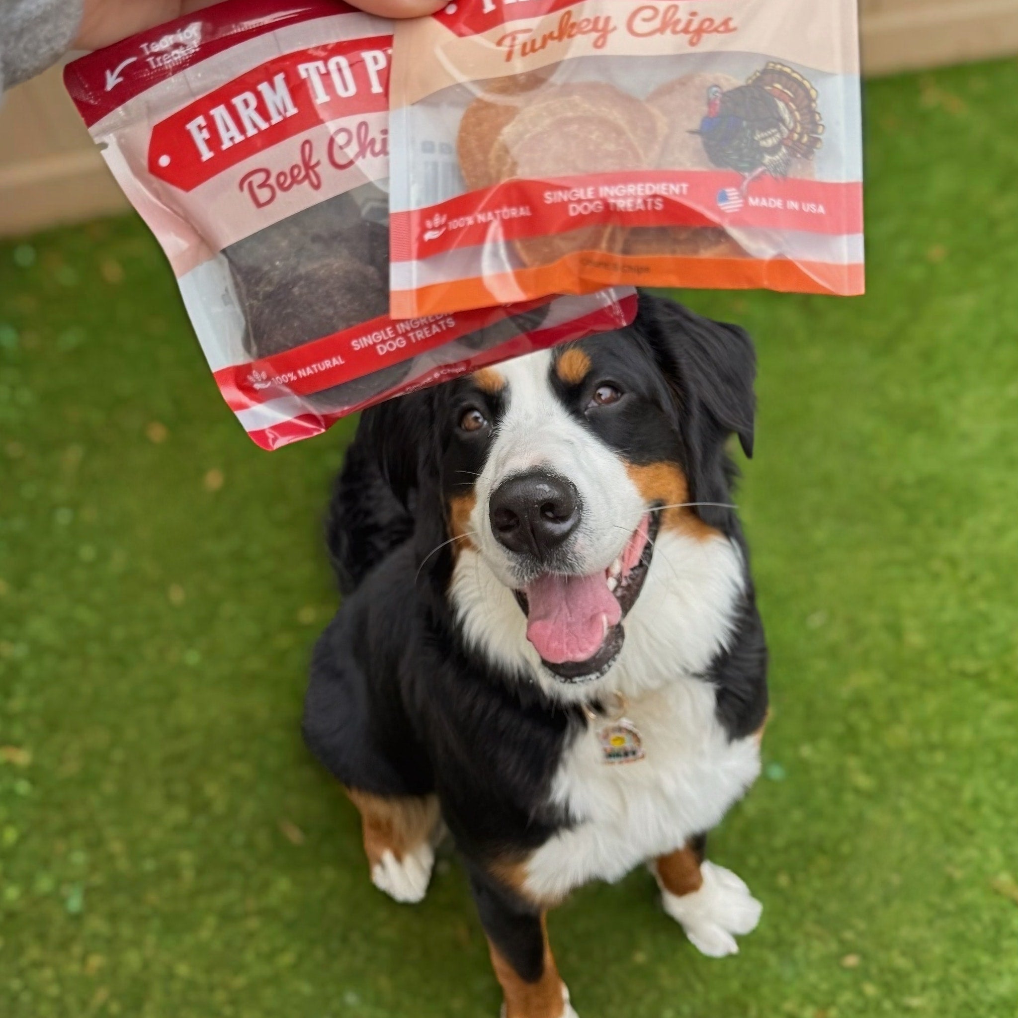 Puppy Packs 'n Snacks Dog Treat Starter Pack | Single - Ingredient Training Treats - Boske.store
