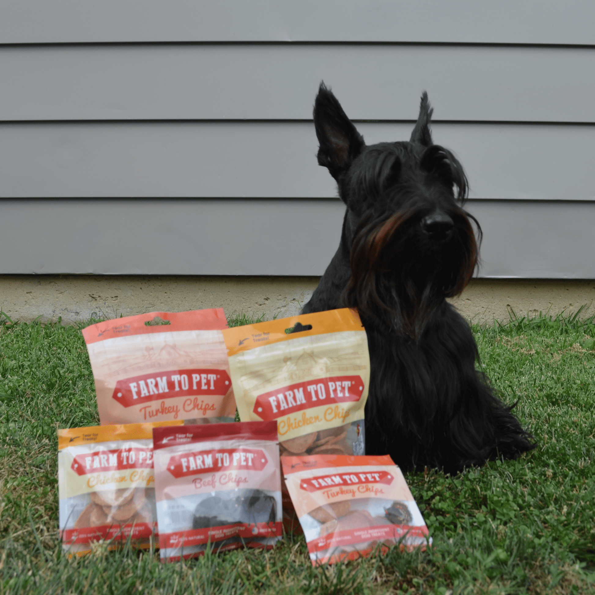Puppy Packs 'n Snacks Dog Treat Starter Pack | Single - Ingredient Training Treats - Boske.store