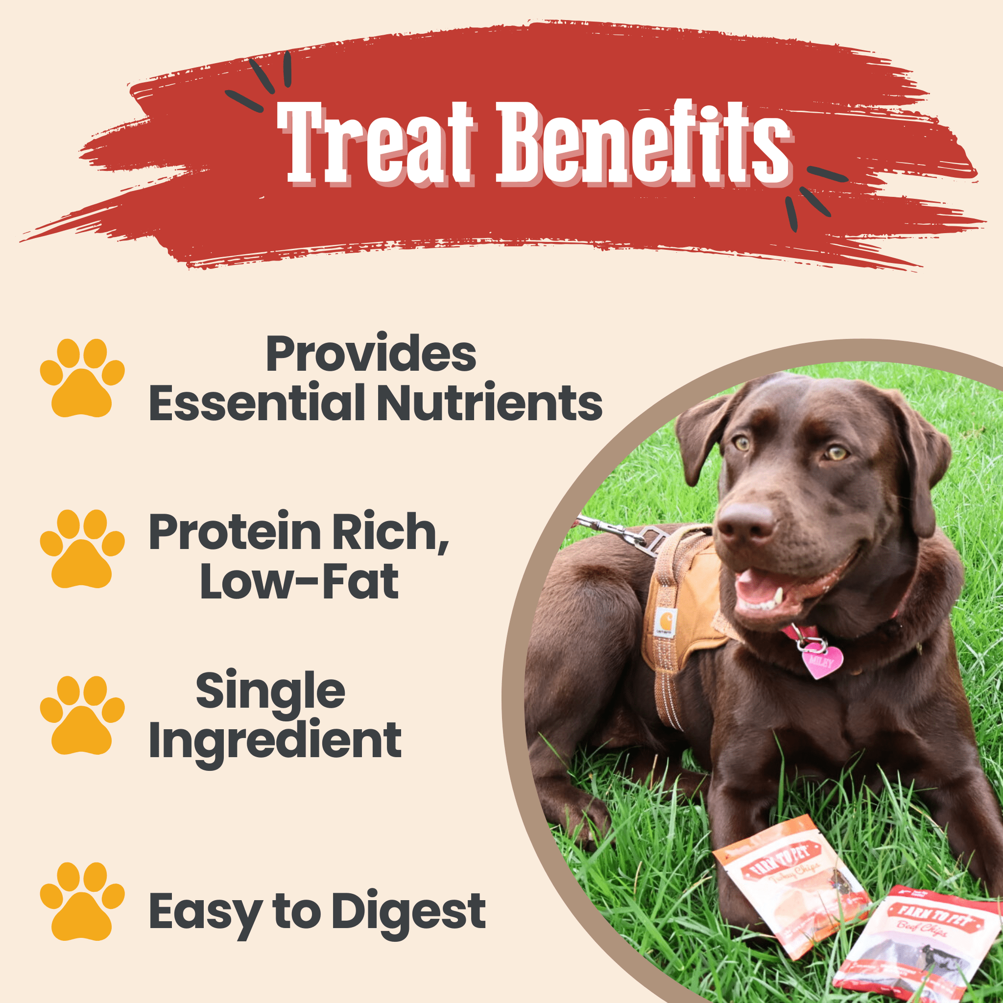 Snack Pack Dog Treat Sampler - Boske.store