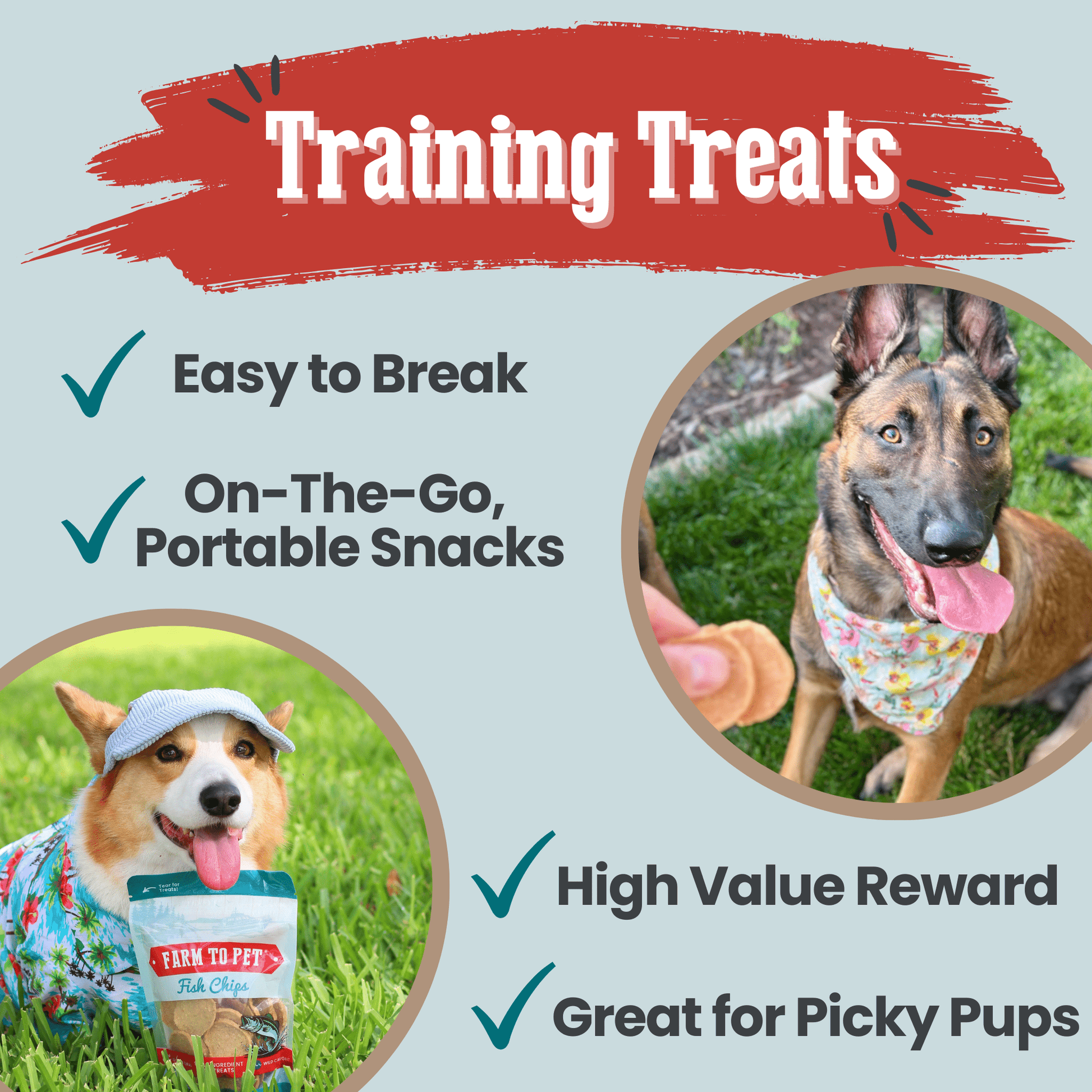 Fish Chips for Dogs | Wild - Caught Fish Dog Treats - Boske.store