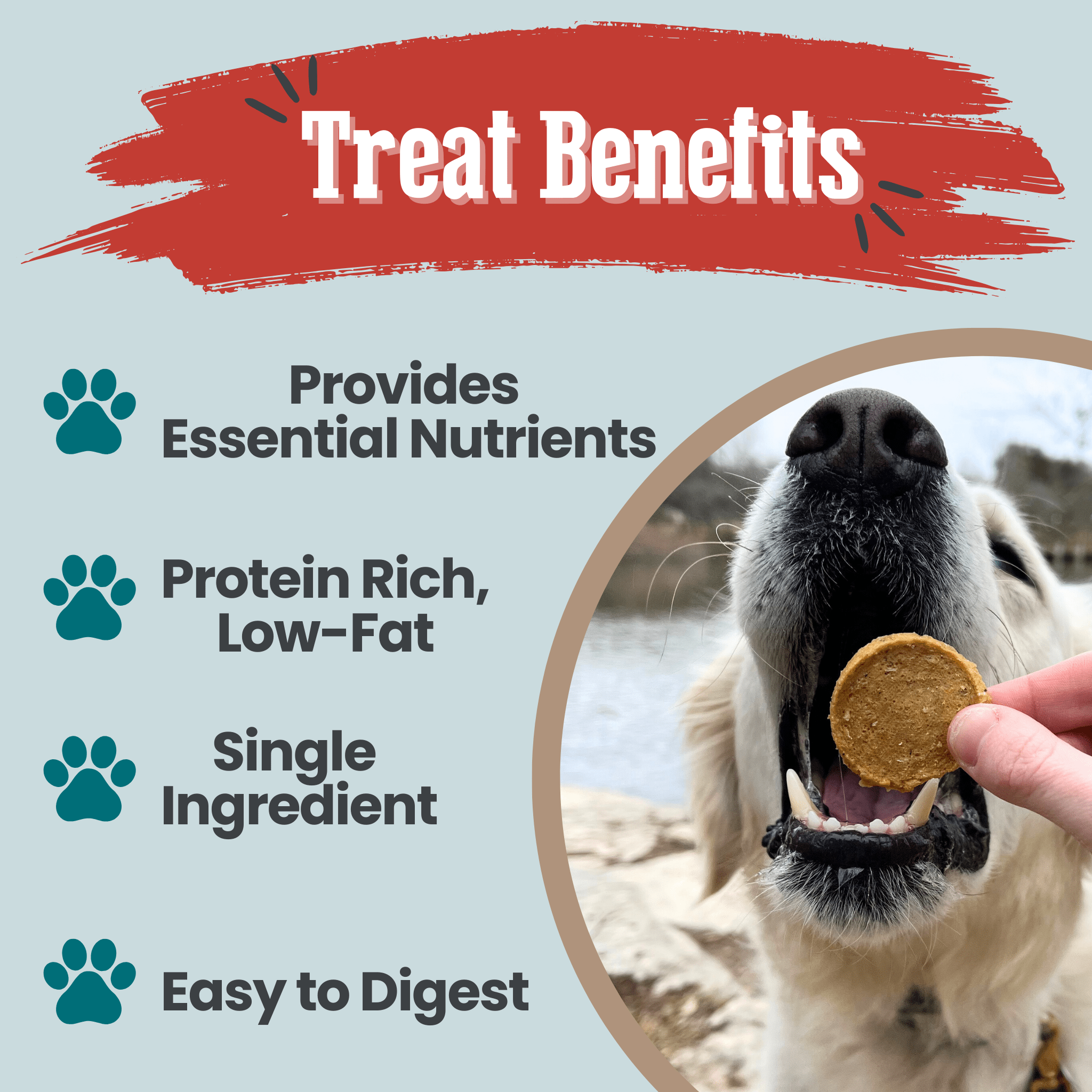 Fish Chips for Dogs | Wild - Caught Fish Dog Treats - Boske.store