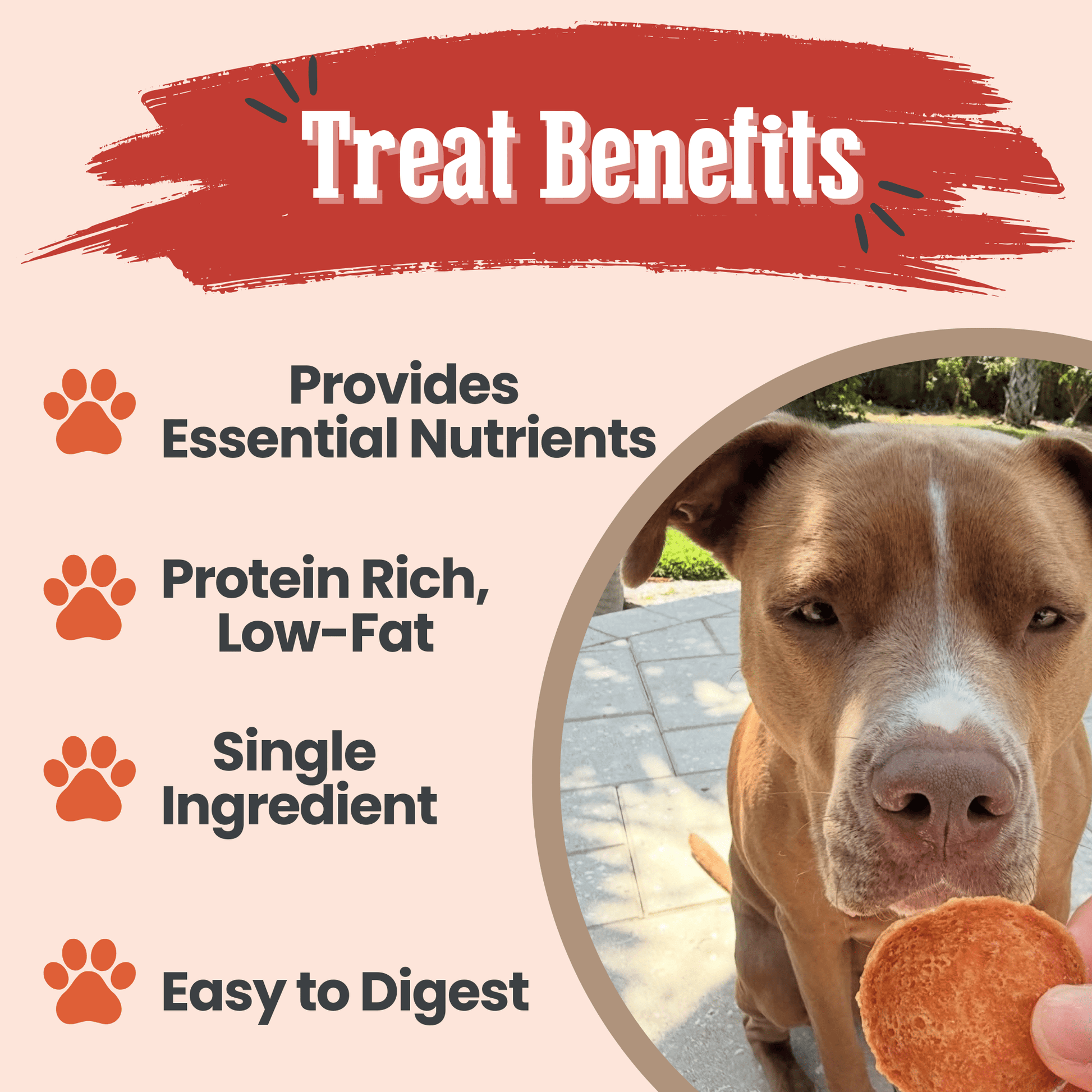 Turkey Chips for Dogs | All - Natural Single - Ingredient Healthy Dog Treats - Boske.store