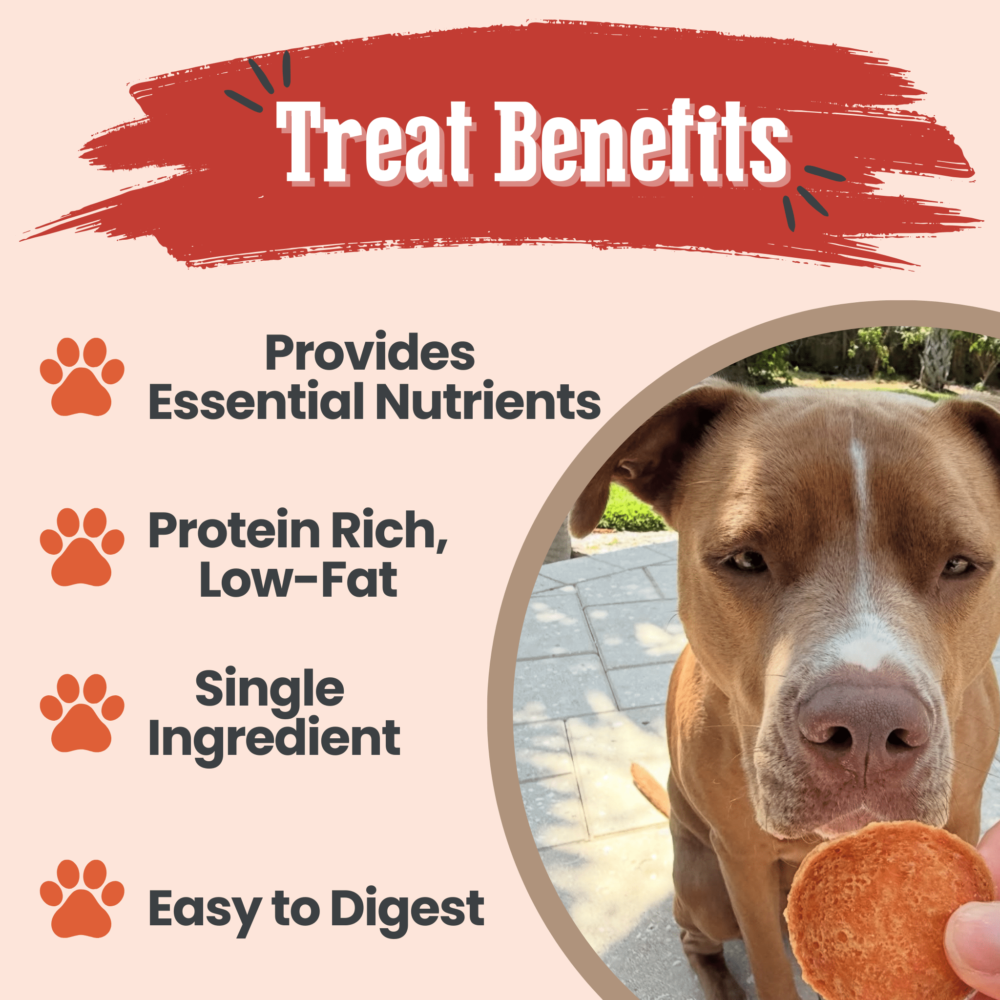 Turkey Chips for Dogs | All - Natural Single - Ingredient Healthy Dog Treats - Boske.store