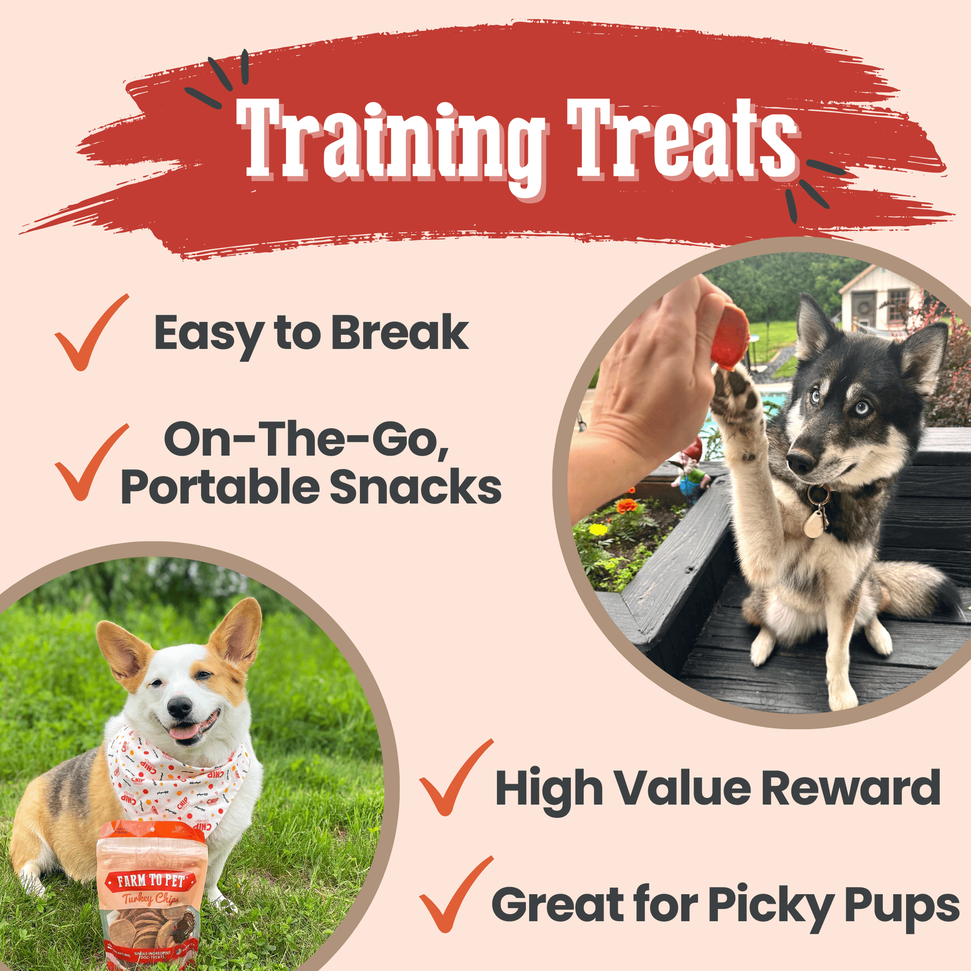 Turkey Chips for Dogs | All - Natural Single - Ingredient Healthy Dog Treats - Boske.store