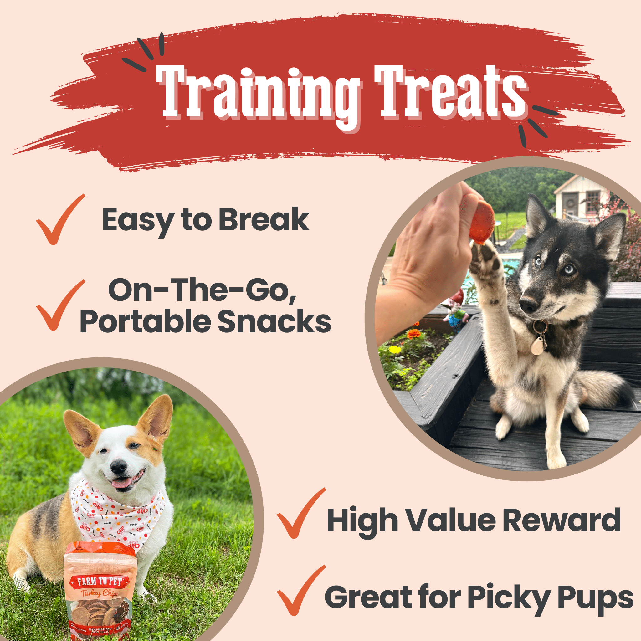 Turkey Chips for Dogs | All - Natural Single - Ingredient Healthy Dog Treats - Boske.store