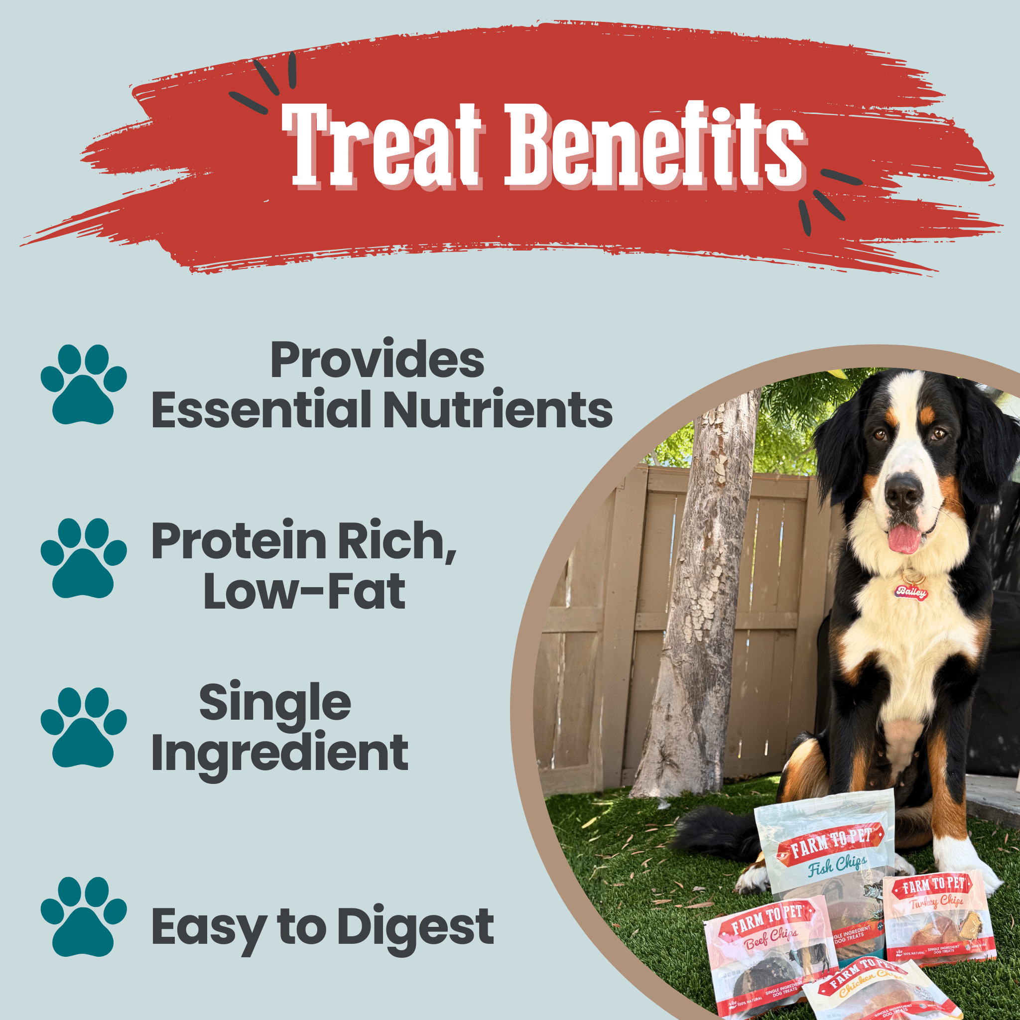 Puppy Packs 'n Snacks Dog Treat Starter Pack | Single - Ingredient Training Treats - Boske.store