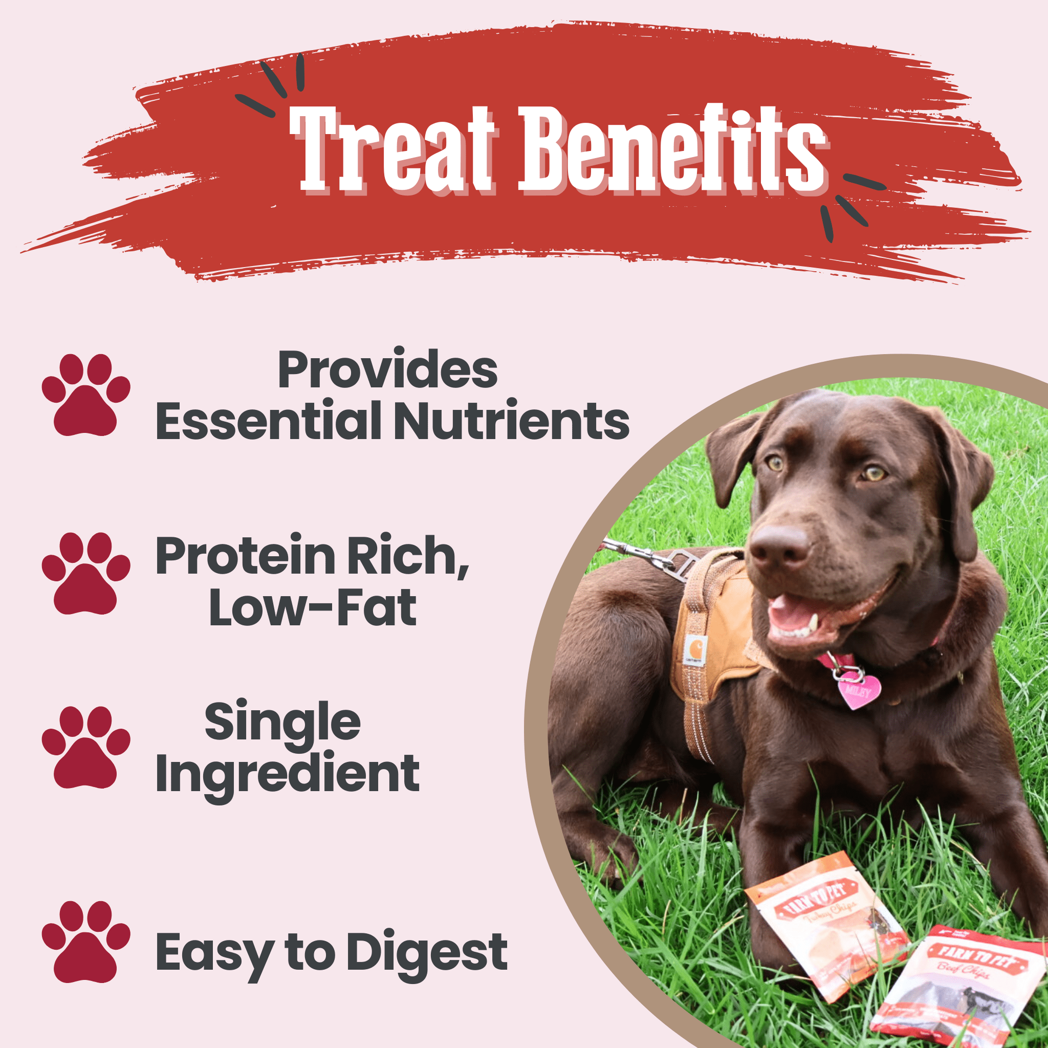 Puppy Packs 'n Snacks Dog Treat Starter Pack | Single - Ingredient Training Treats - Boske.store