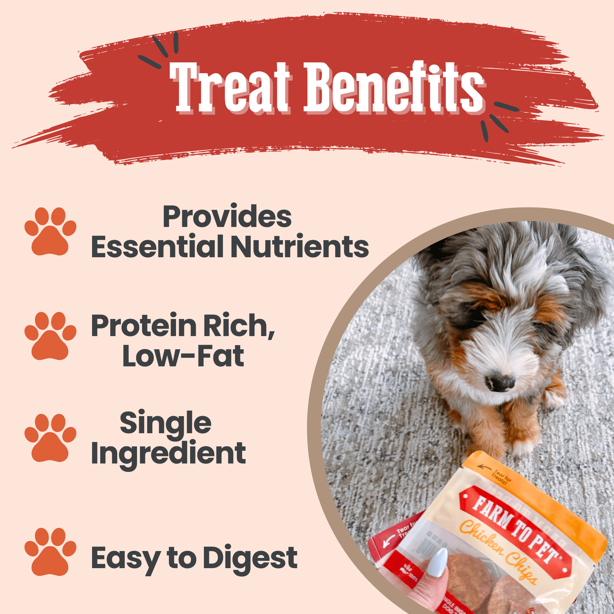 Puppy Packs 'n Snacks Dog Treat Starter Pack | Single - Ingredient Training Treats - Boske.store