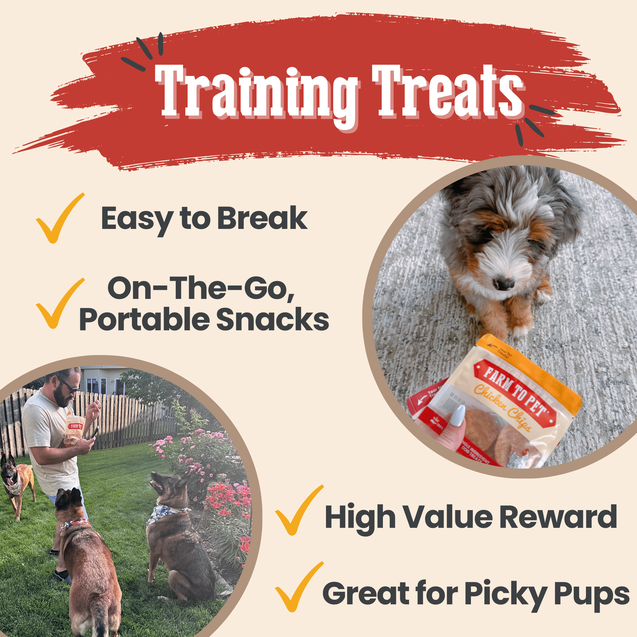 Snack Pack Dog Treat Sampler - Boske.store