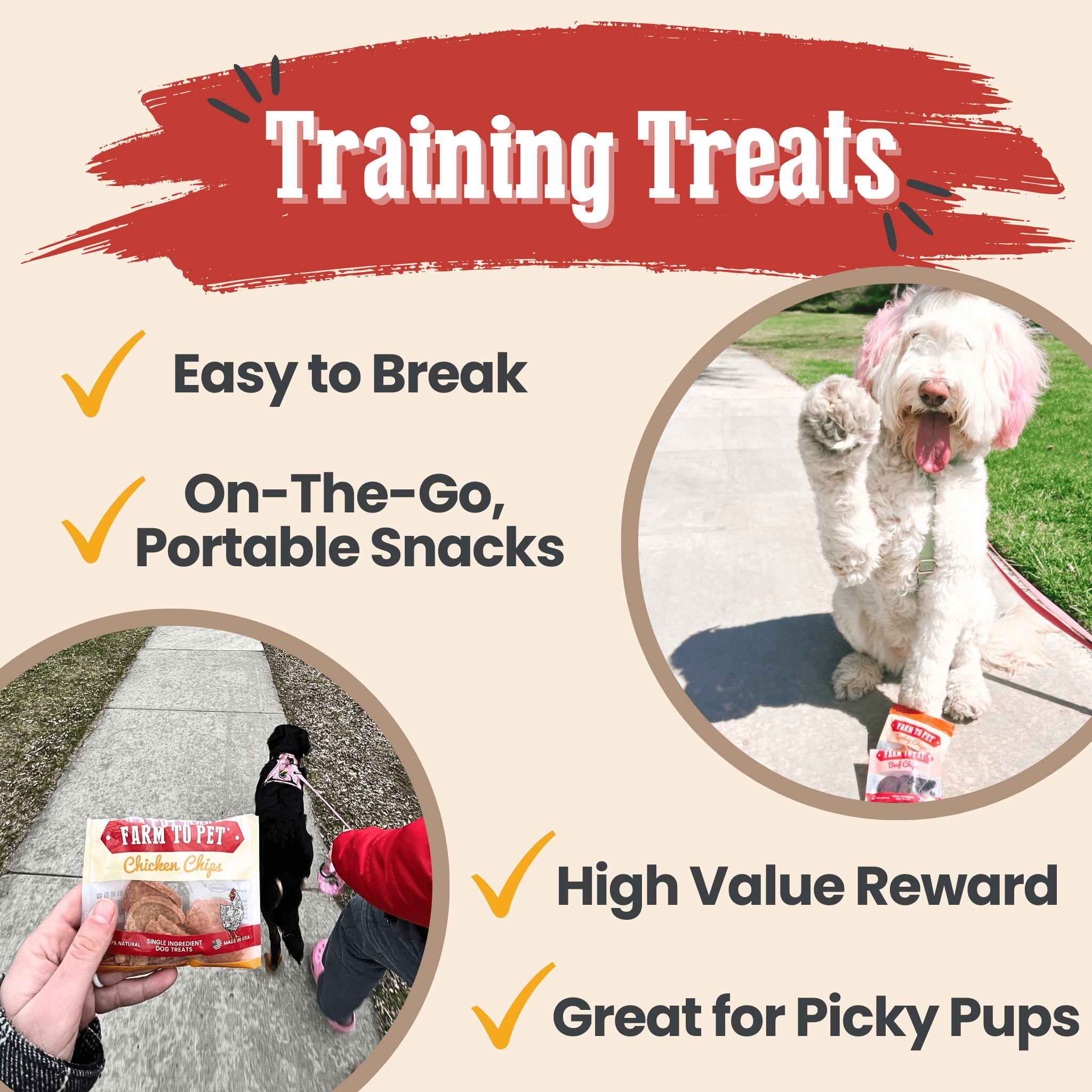 Snack Pack Dog Treat Sampler - Boske.store
