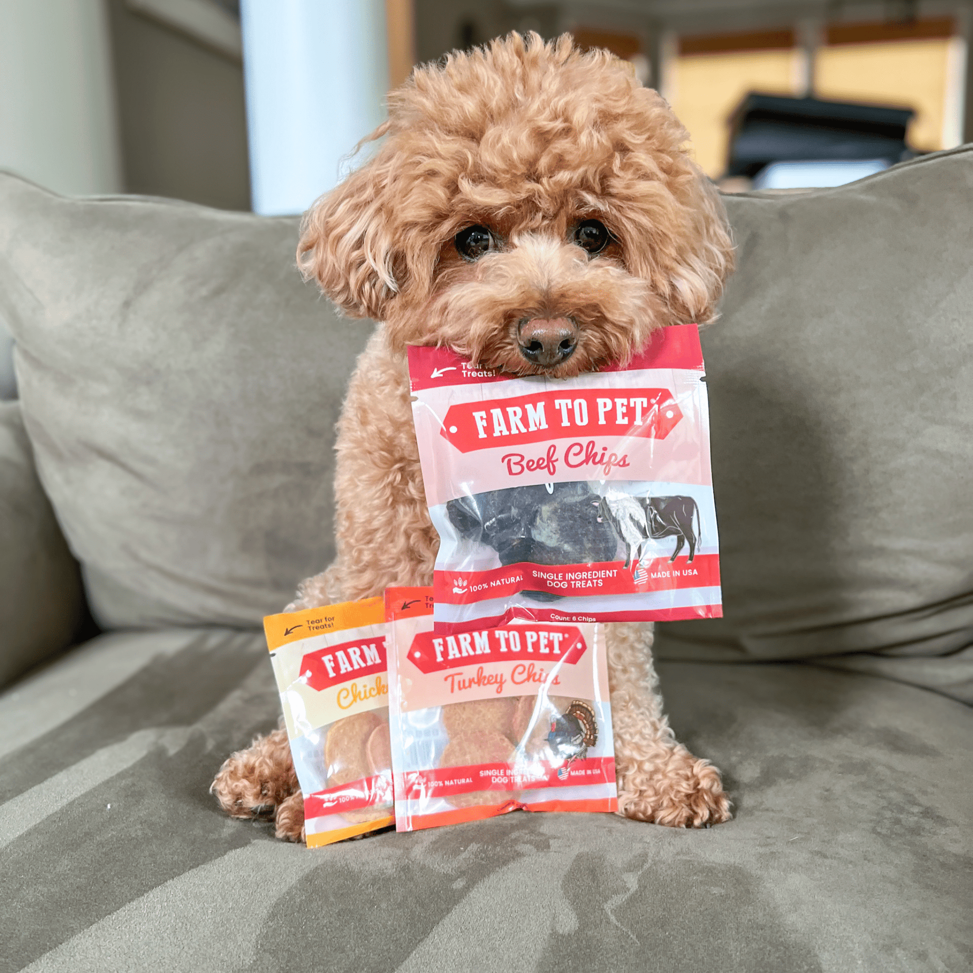Puppy Packs 'n Snacks Dog Treat Starter Pack | Single - Ingredient Training Treats - Boske.store