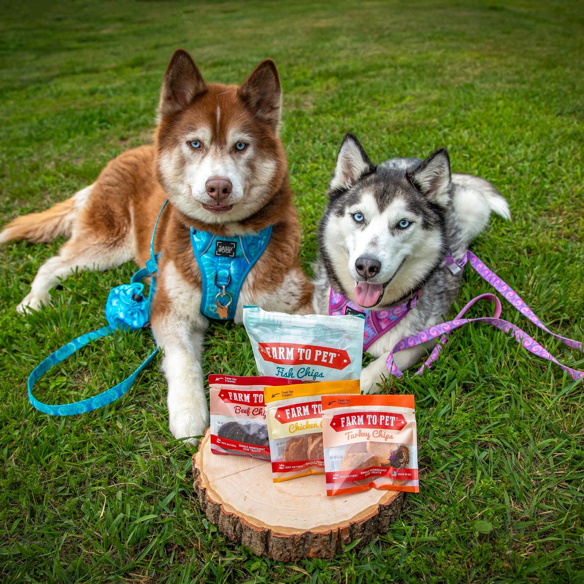 Puppy Packs 'n Snacks Dog Treat Starter Pack | Single - Ingredient Training Treats - Boske.store