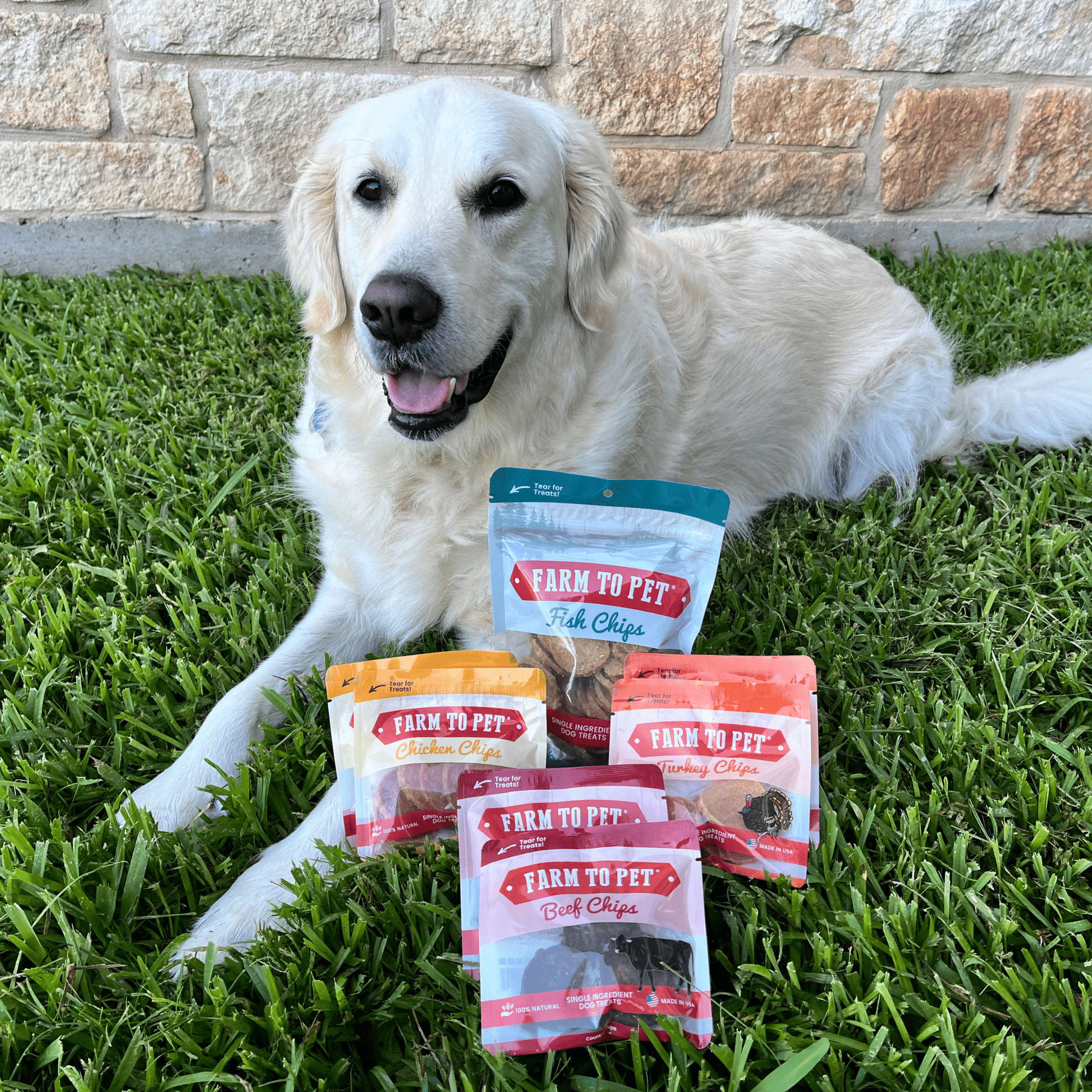 Puppy Packs 'n Snacks Dog Treat Starter Pack | Single - Ingredient Training Treats - Boske.store