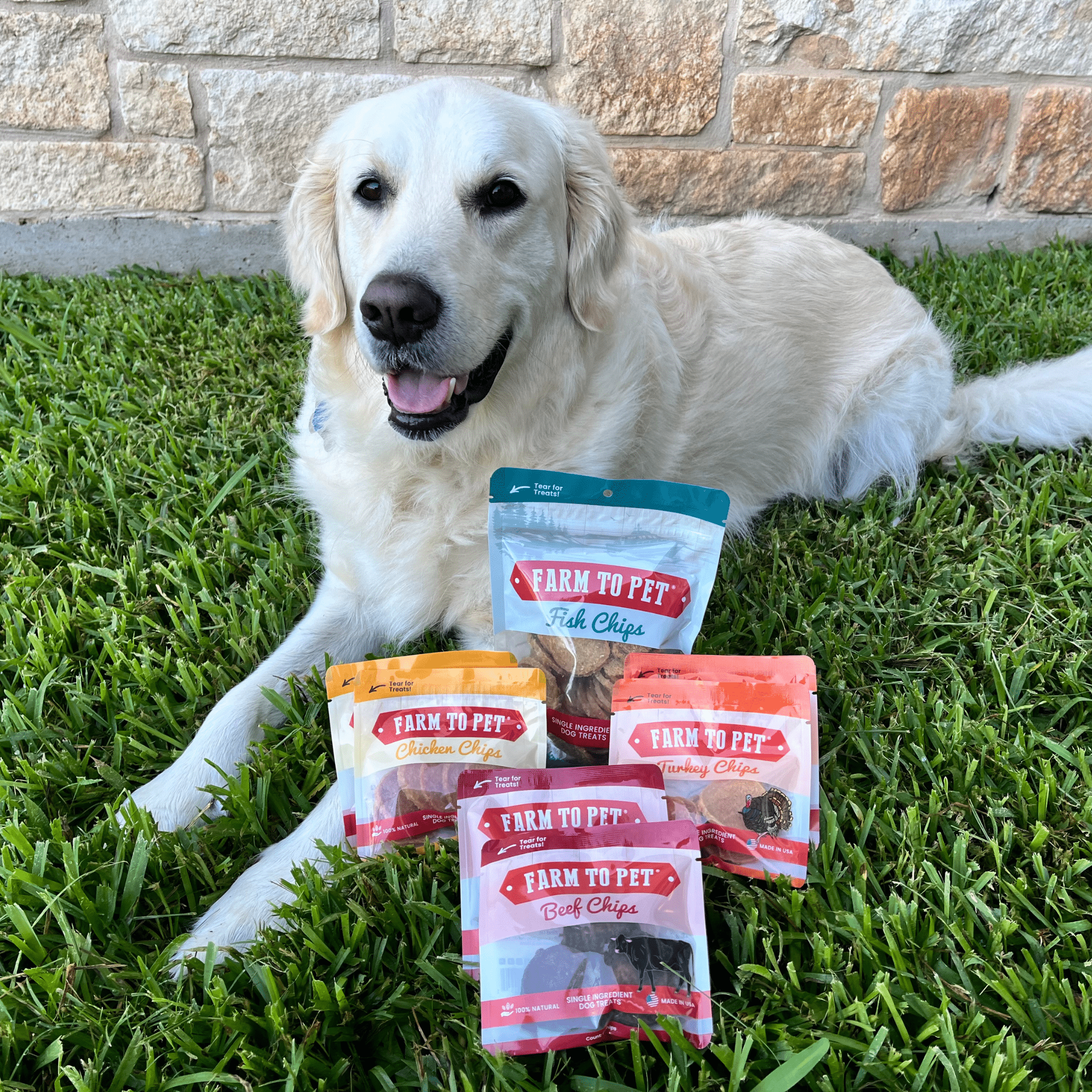 Puppy Packs 'n Snacks Dog Treat Starter Pack | Single - Ingredient Training Treats - Boske.store