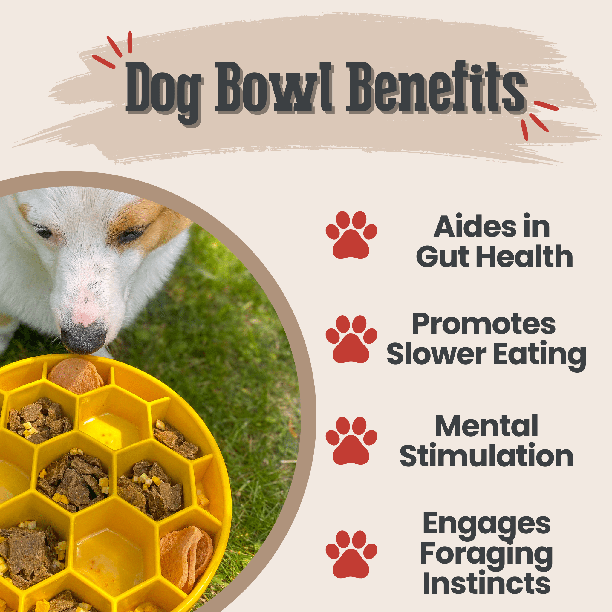 Slow Feeder Dog Bowls - Boske.store