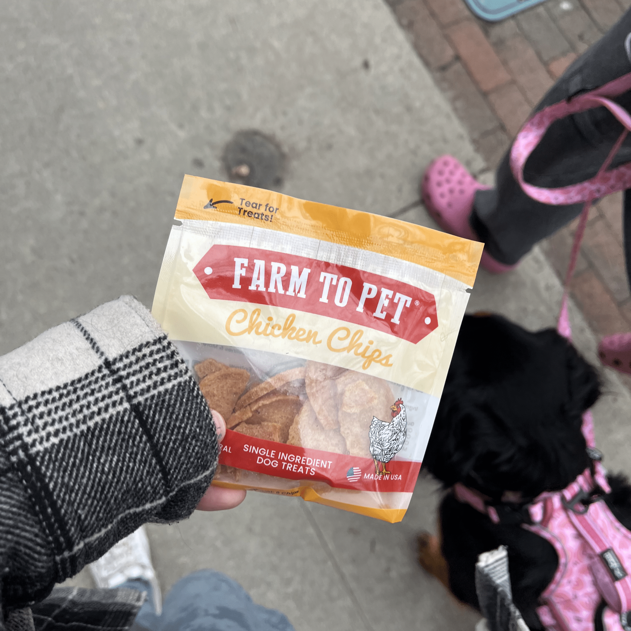 Chicken Chips Snack Pack Bundles | Dog Party Favors & Training Treats - Boske.store