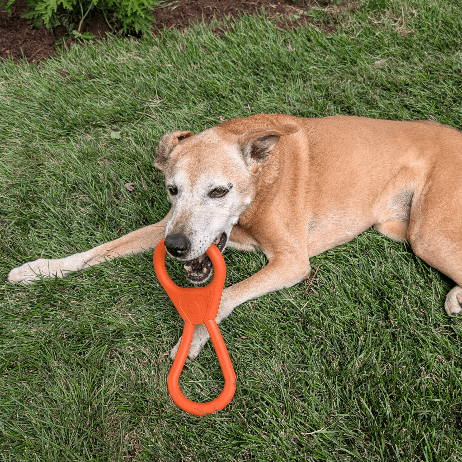 Tug Toys - Boske.store