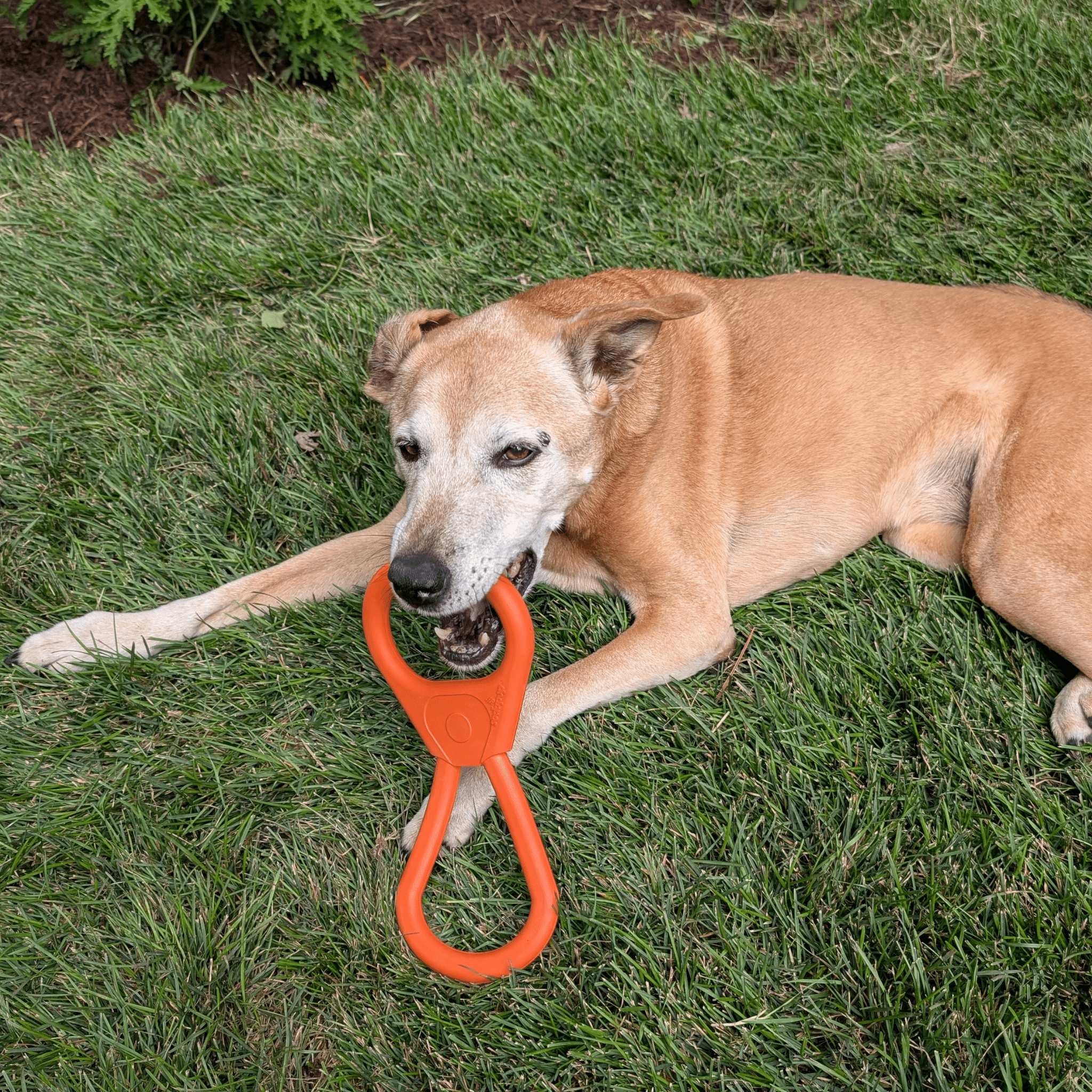 Tug Toys - Boske.store
