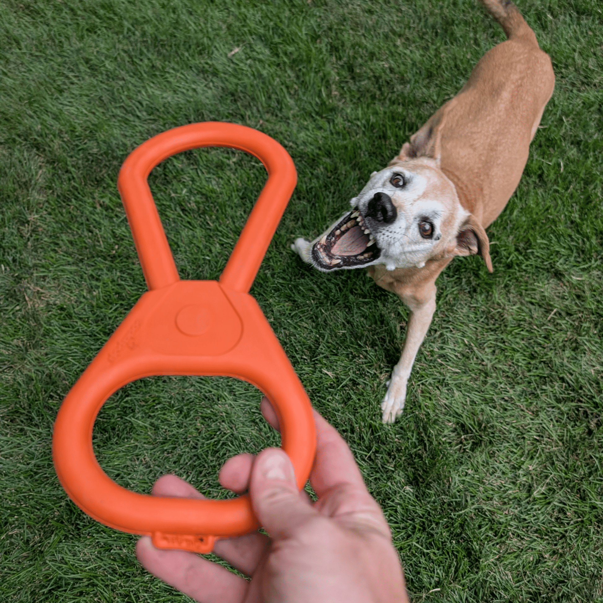 Tug Toys - Boske.store