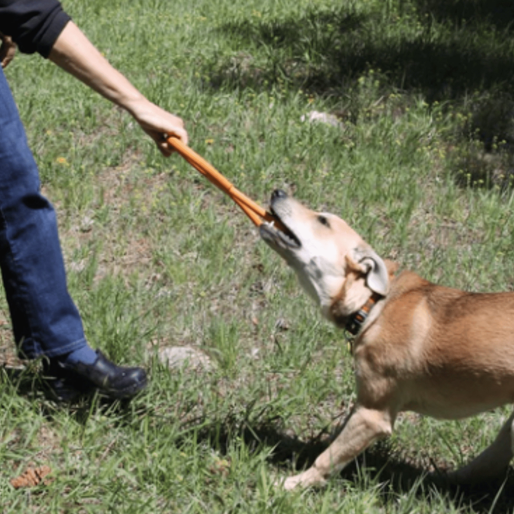 Tug Toys - Boske.store