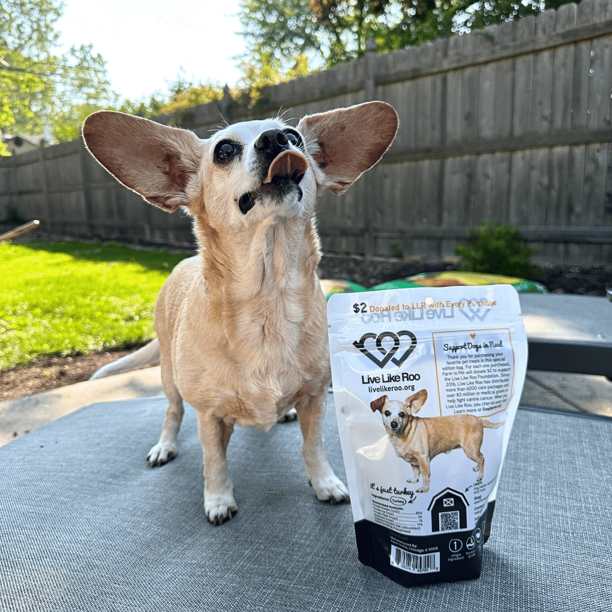 Live Like Roo Turkey Chips for Dogs | Dog Treats That Give Back - Boske.store