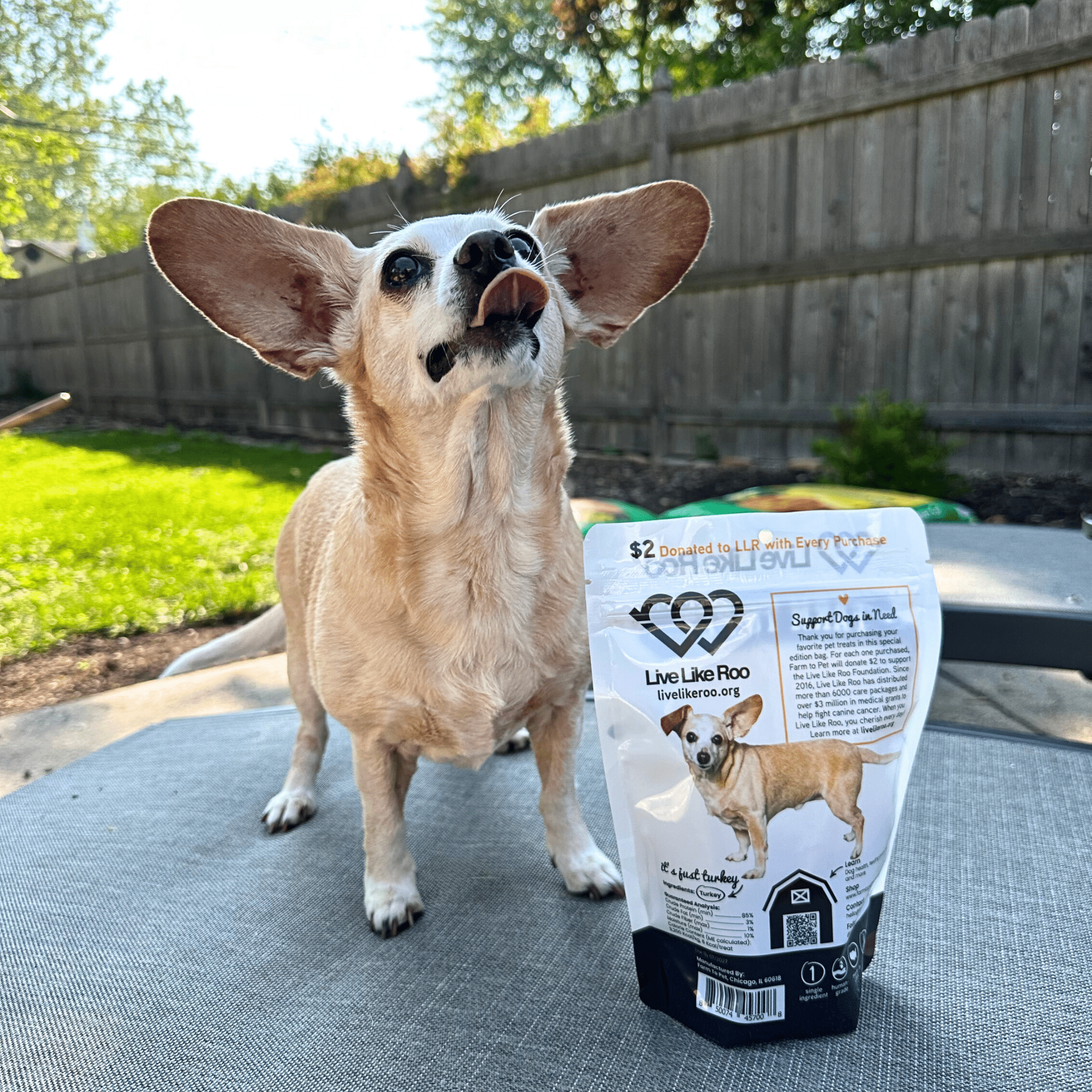 Live Like Roo Turkey Chips for Dogs | Dog Treats That Give Back - Boske.store