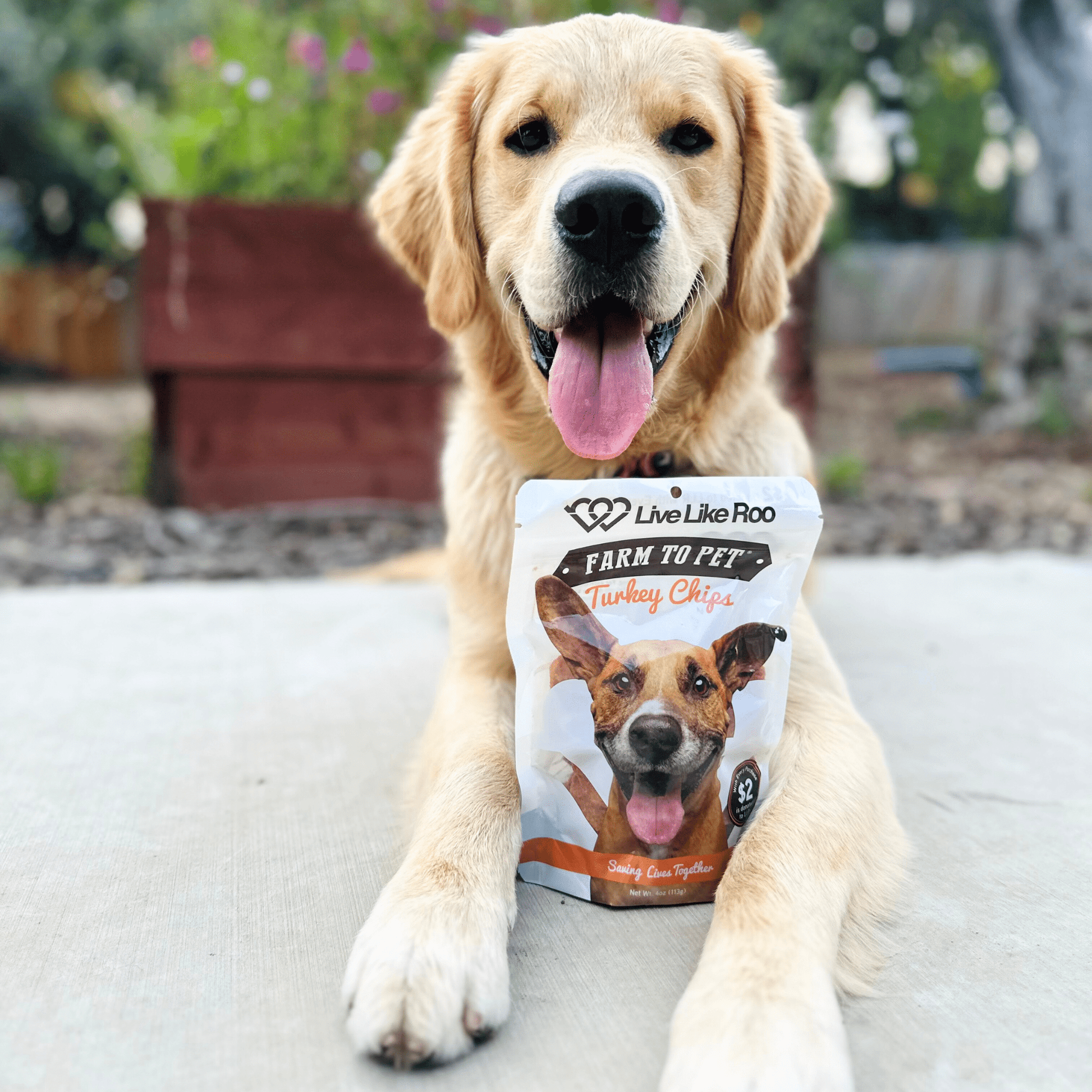 Live Like Roo Turkey Chips for Dogs | Dog Treats That Give Back - Boske.store