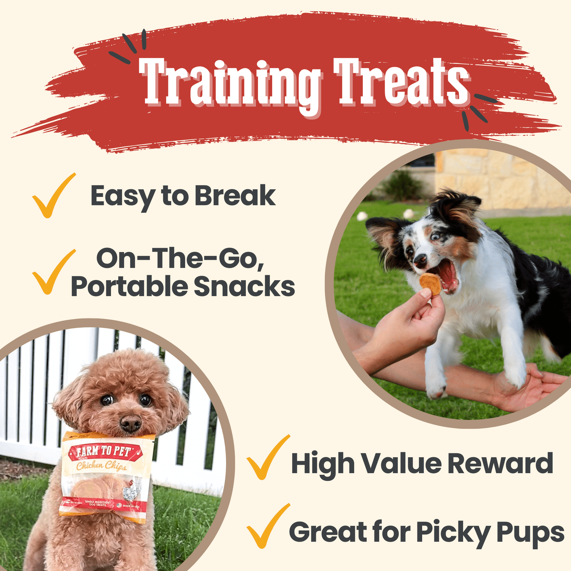 Chicken Chips Snack Pack Bundles | Dog Party Favors & Training Treats - Boske.store